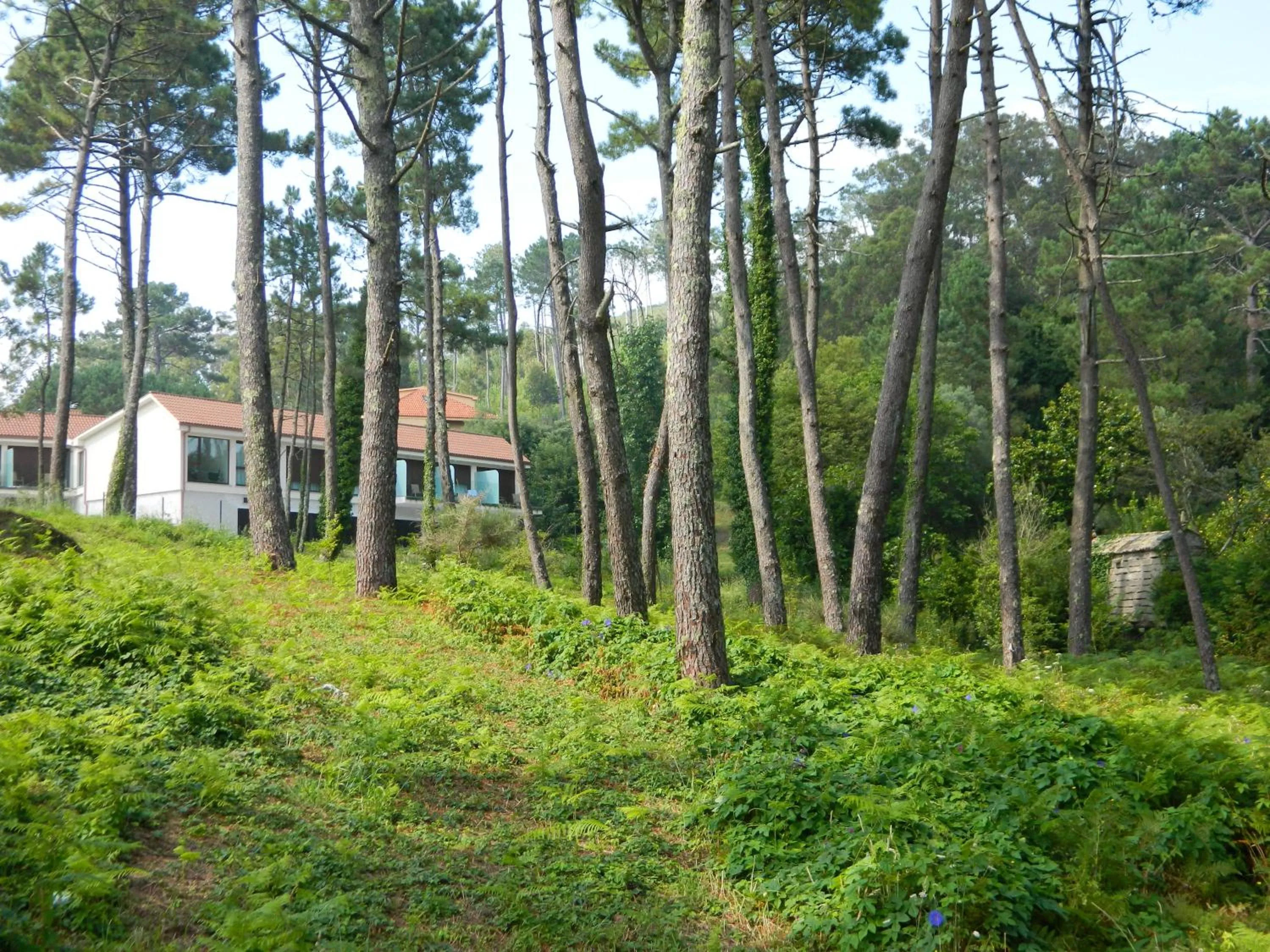 Facade/entrance in Hotel Alén do Mar