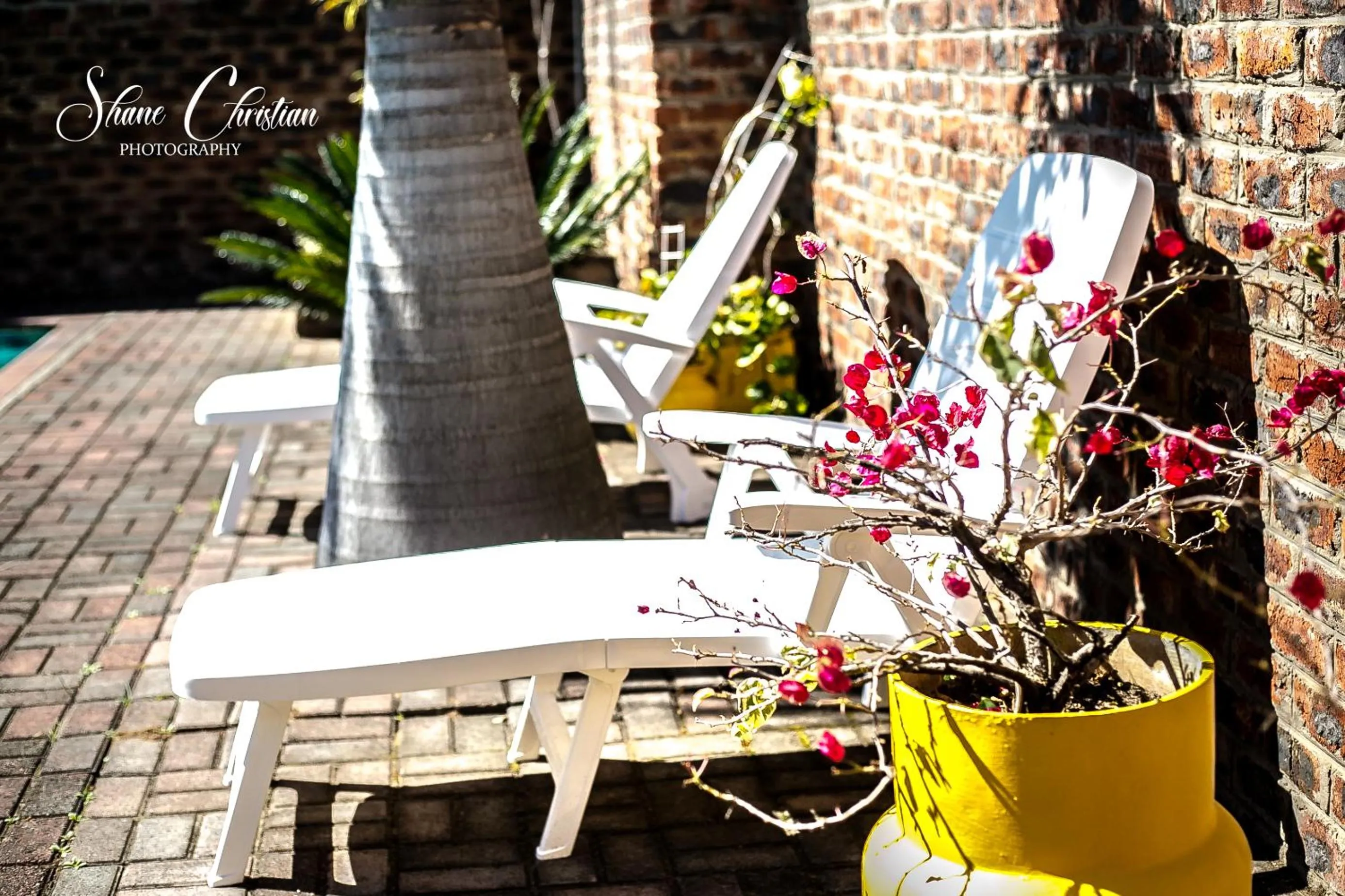 Dreamers Guesthouse - NO LOADSHEDDING