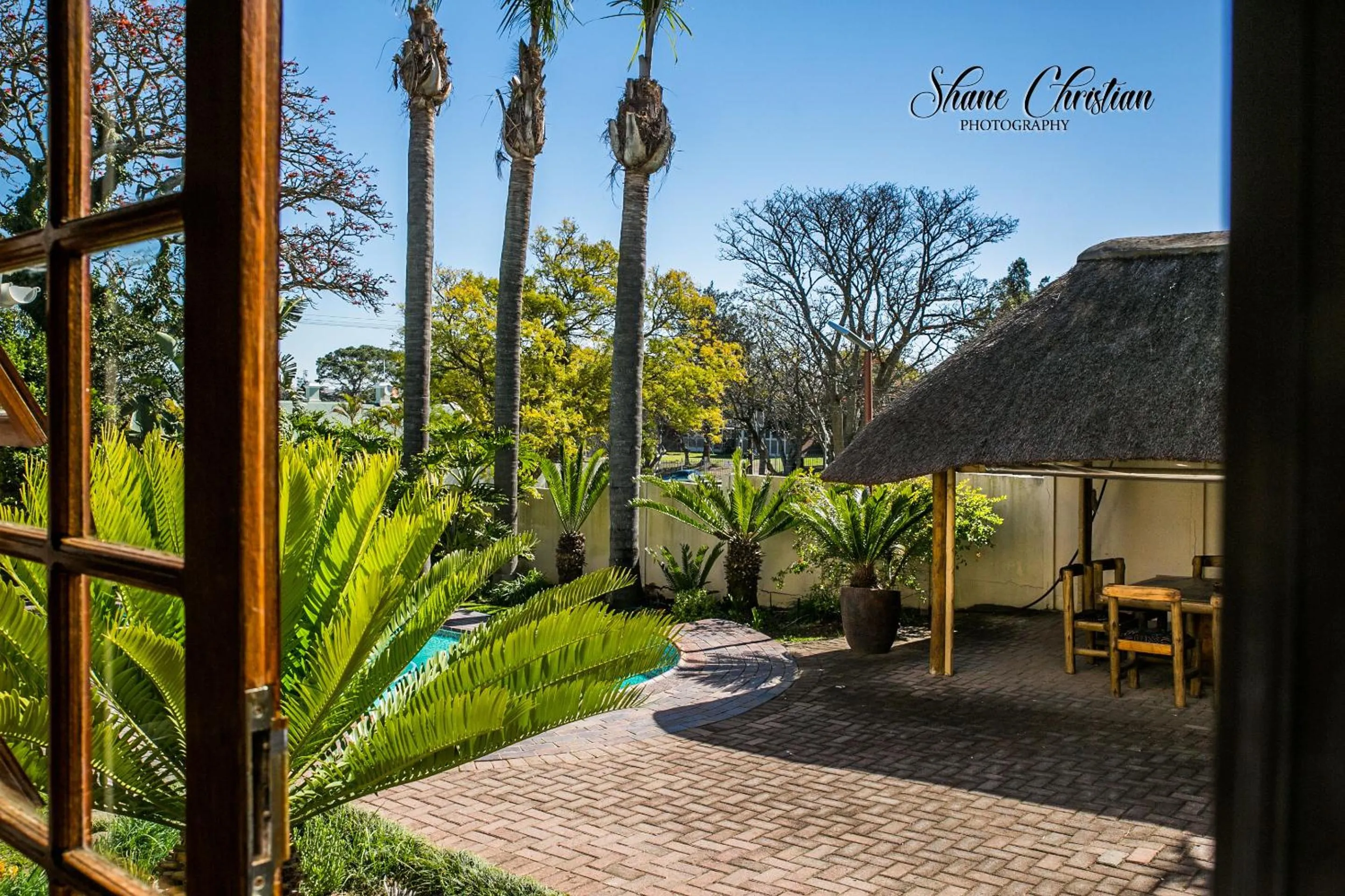 Garden view in Dreamers Guesthouse - NO LOADSHEDDING