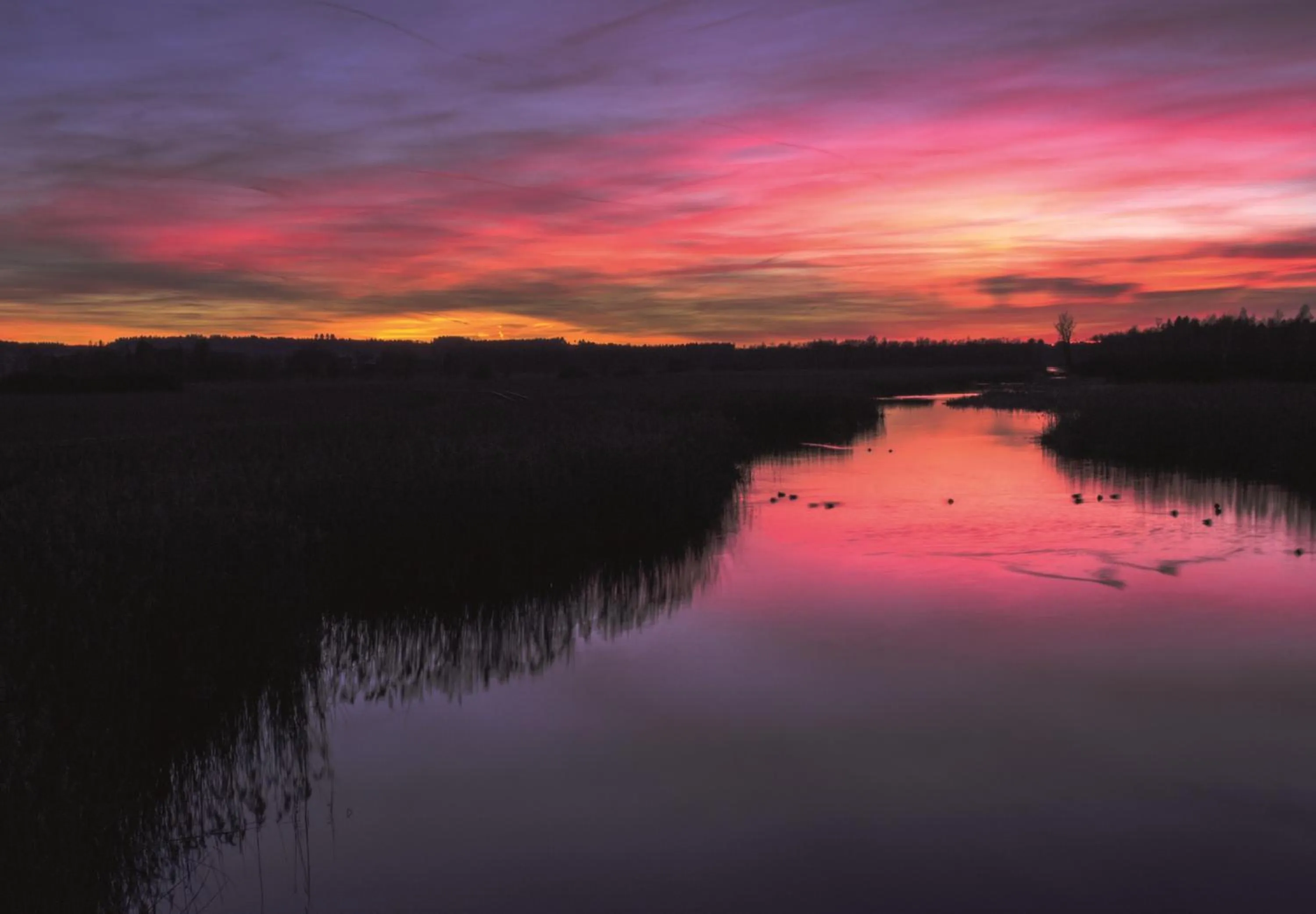 Natural landscape in Hotel Moorbadstuben