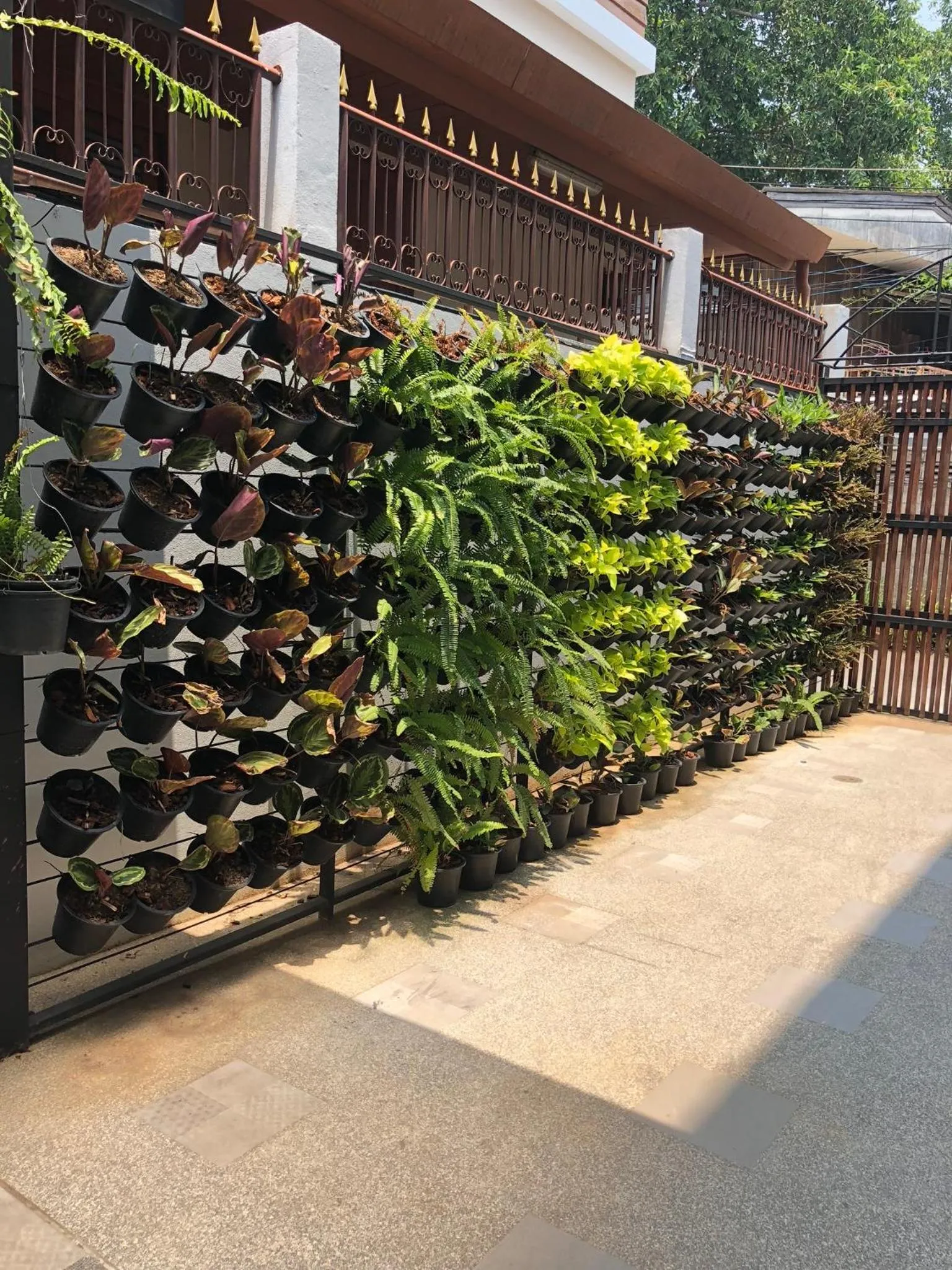 Garden in Celosia Chiang Mai Hotel