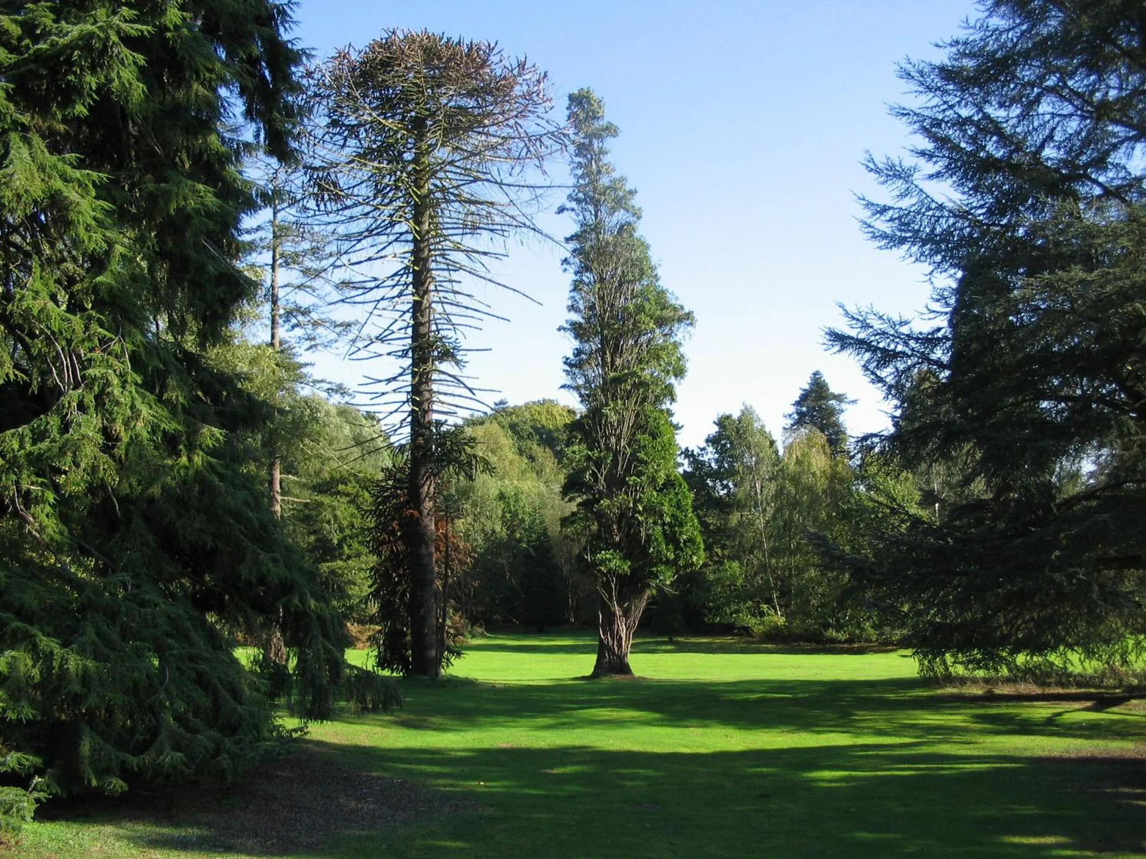 Natural landscape in Easthampstead Park