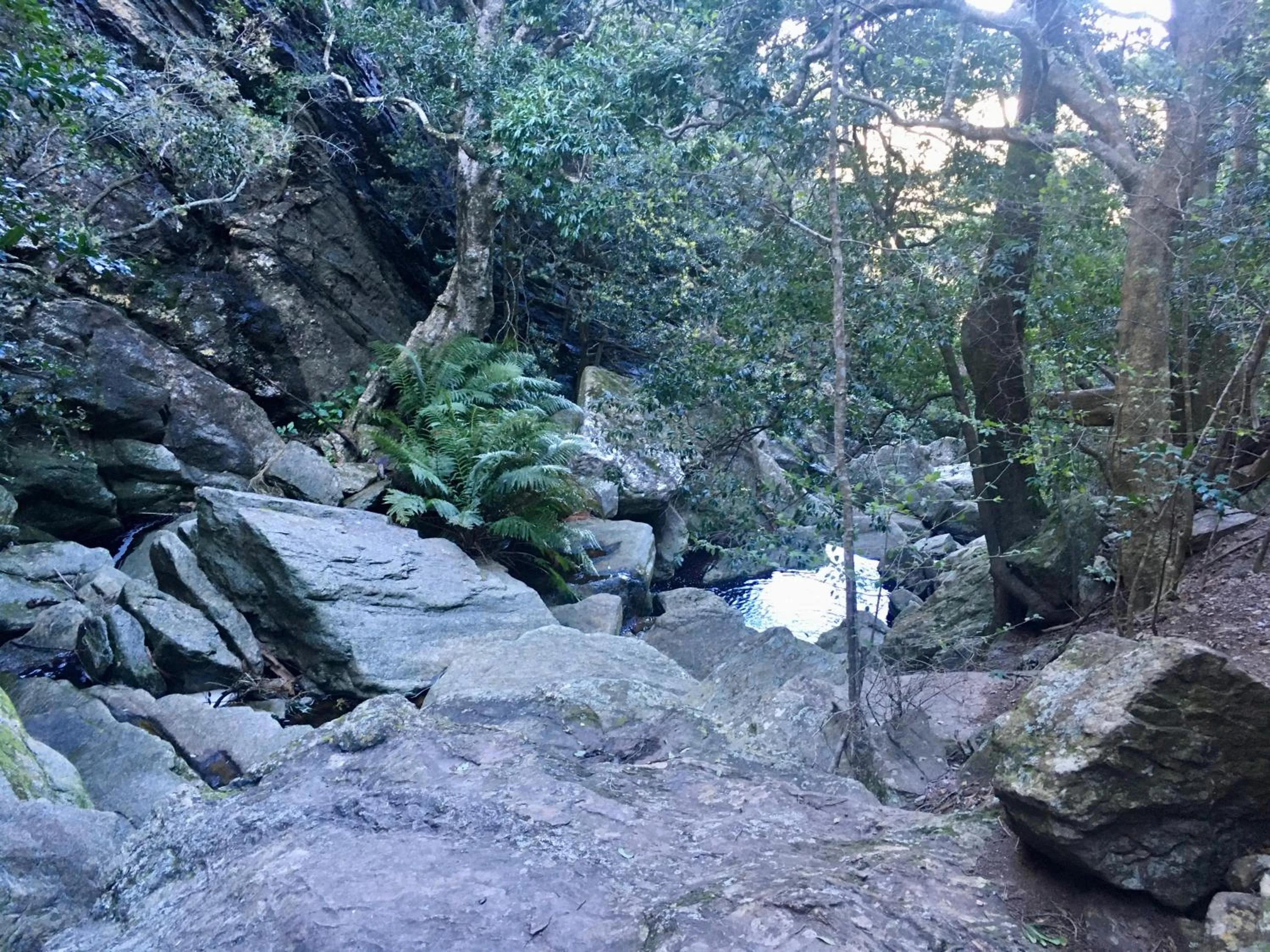 The View Swellendam B&B