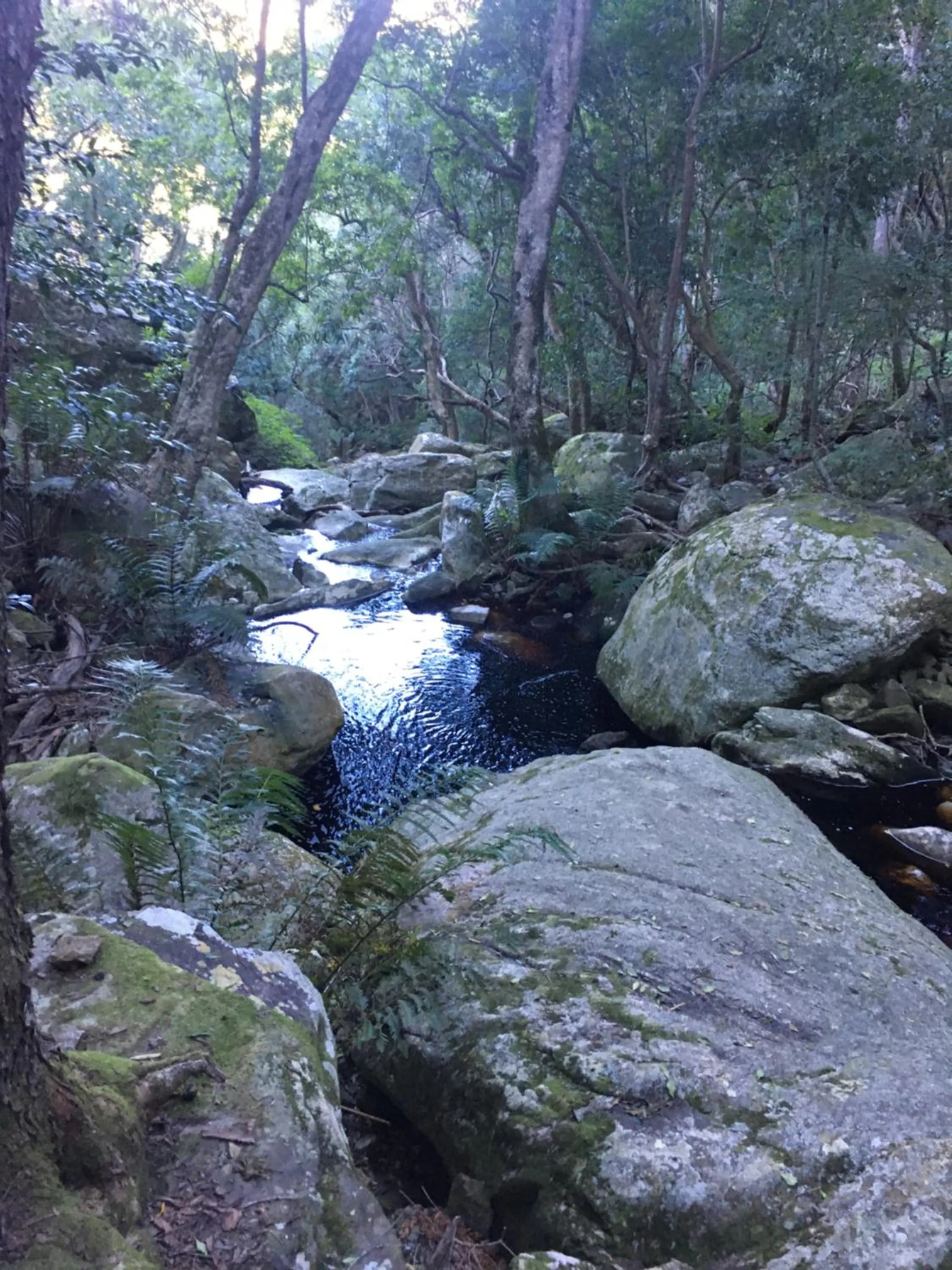 The View Swellendam B&B