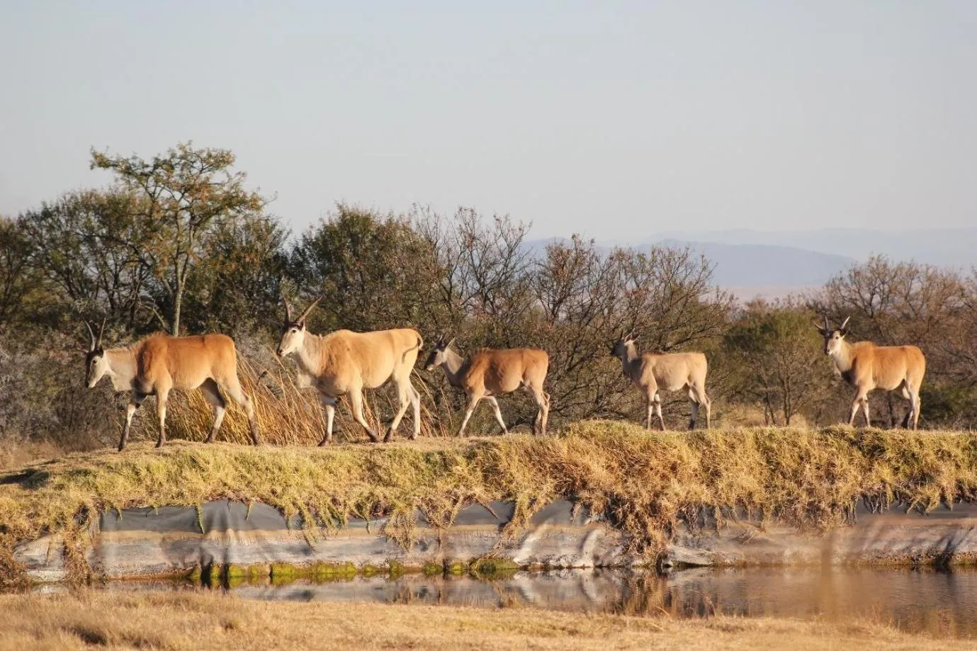 a Dam's View Accommodation
