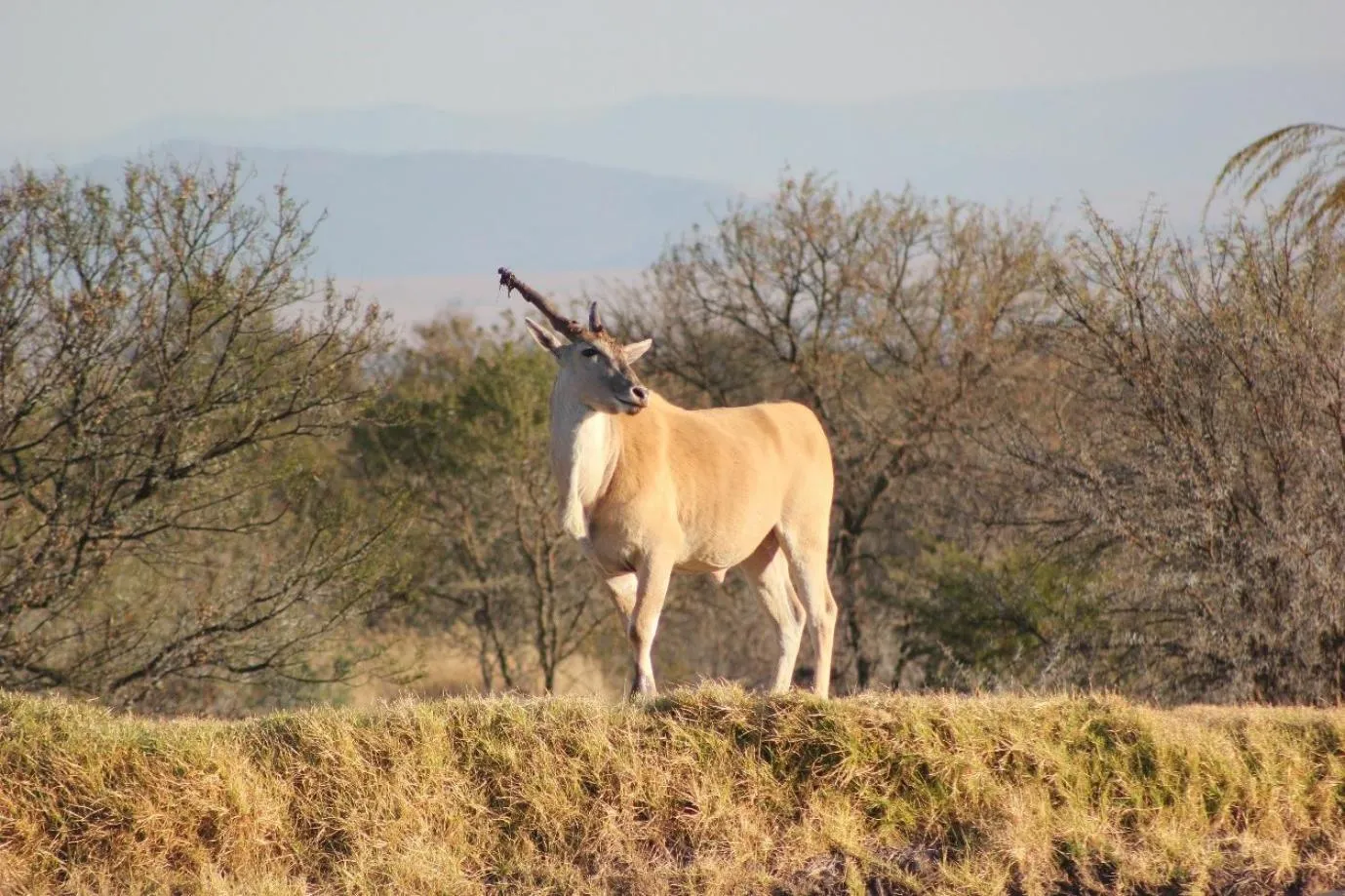 a Dam's View Accommodation