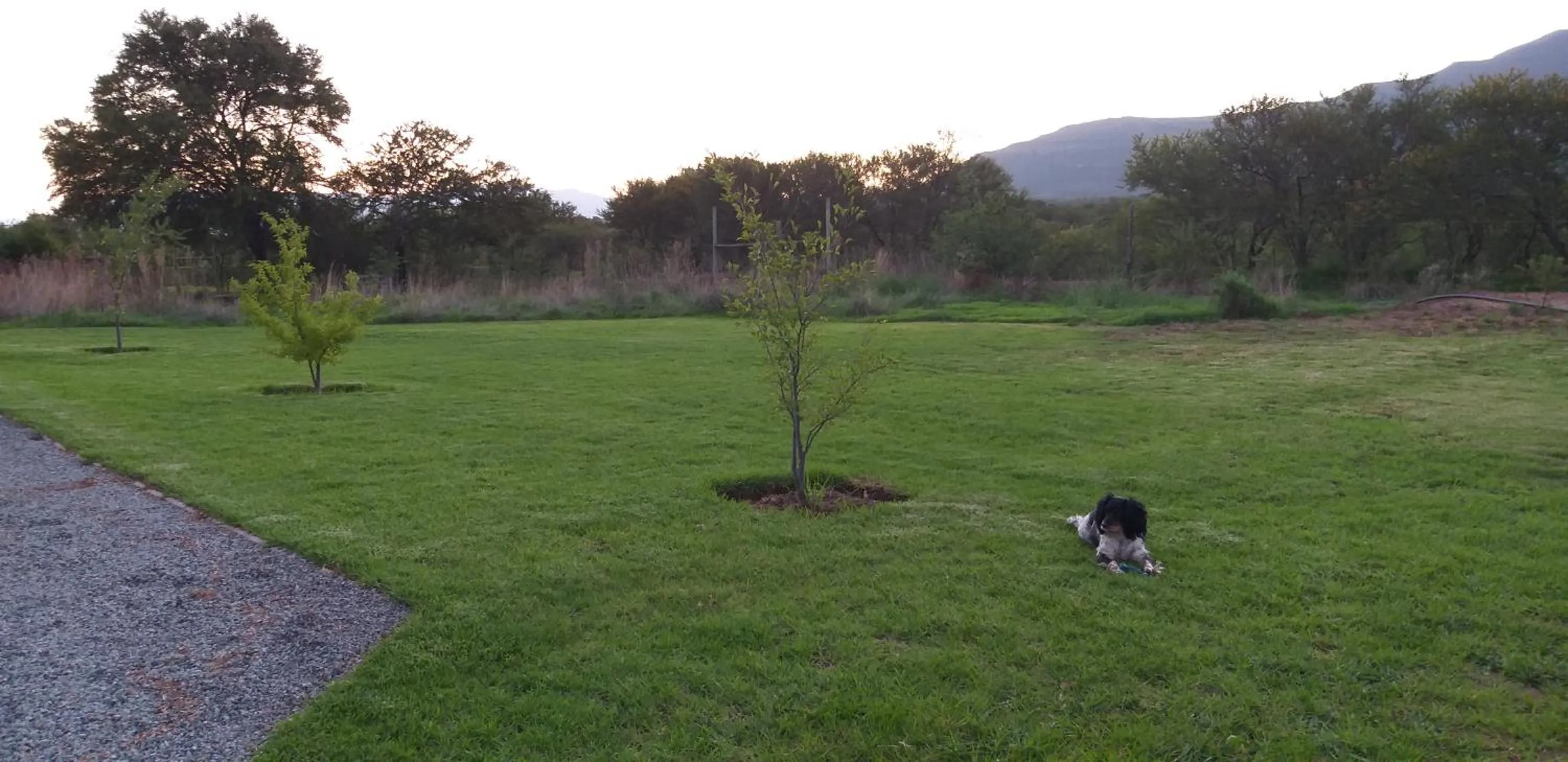 a Dam's View Accommodation