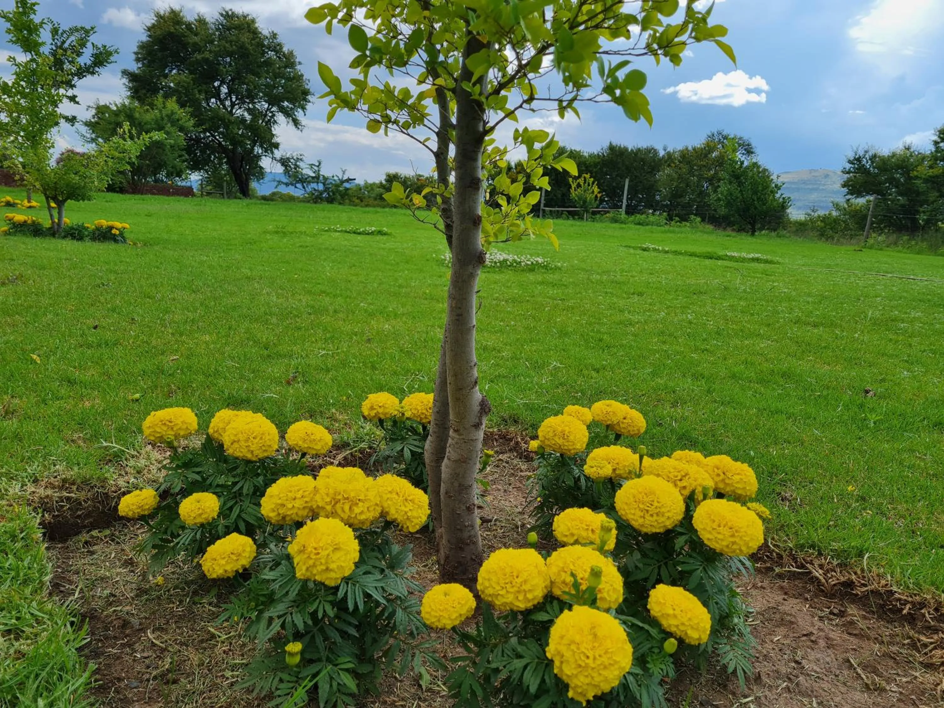 a Dam's View Accommodation