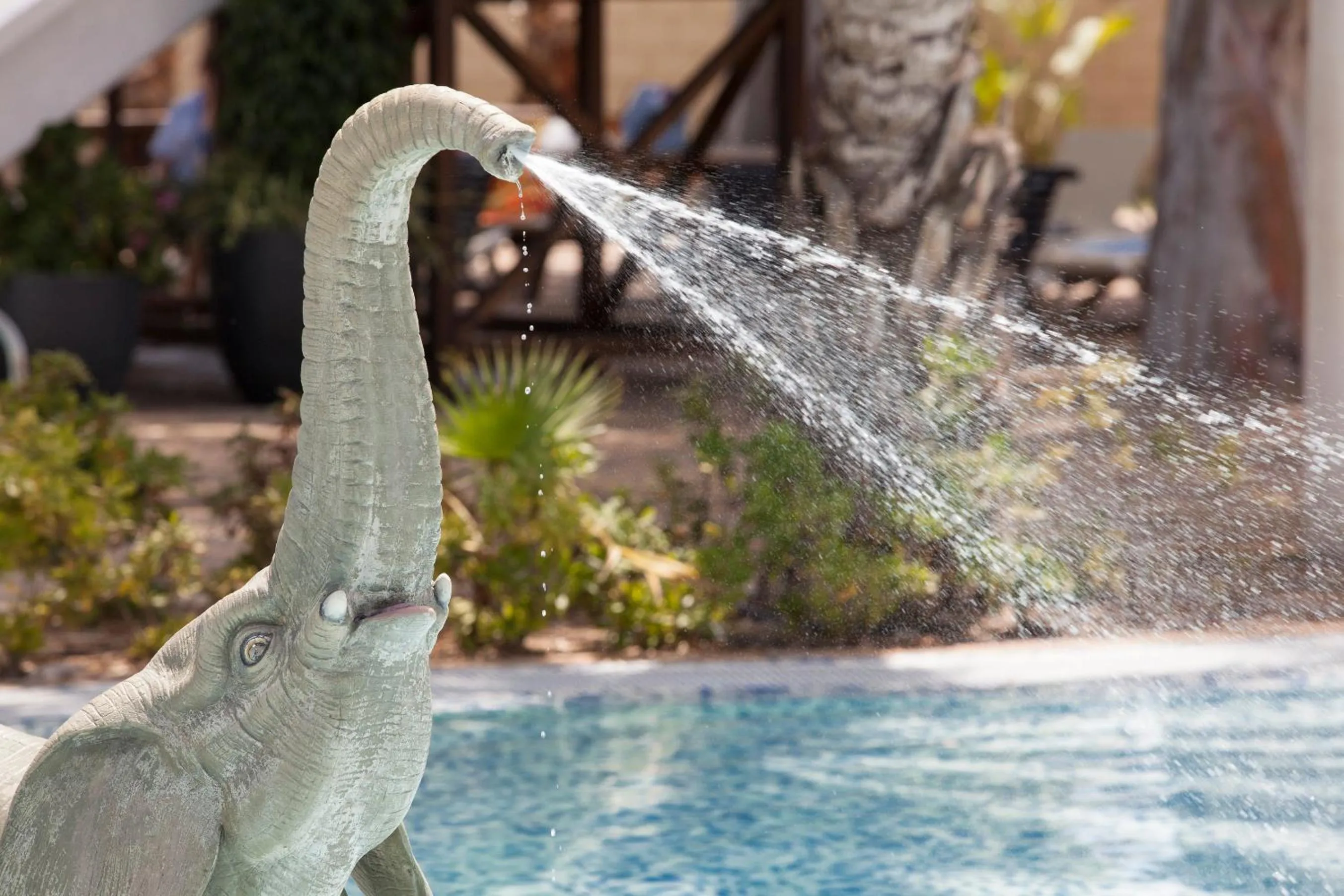 Decorative detail in Alannia Costa Blanca