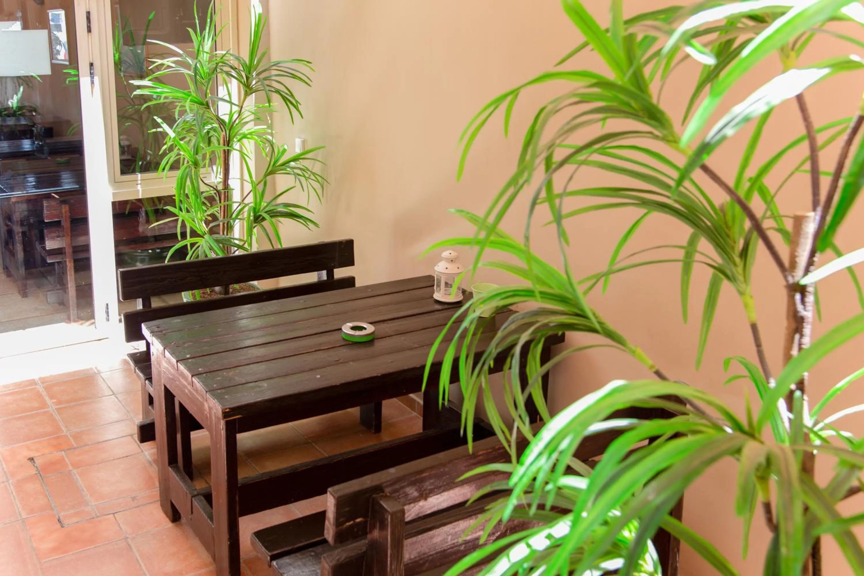 Balcony/Terrace in Motel Aviv