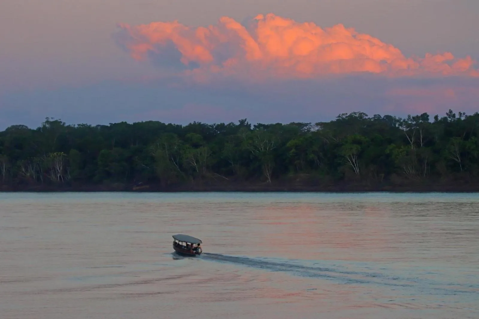 Monte Amazonico Lodge