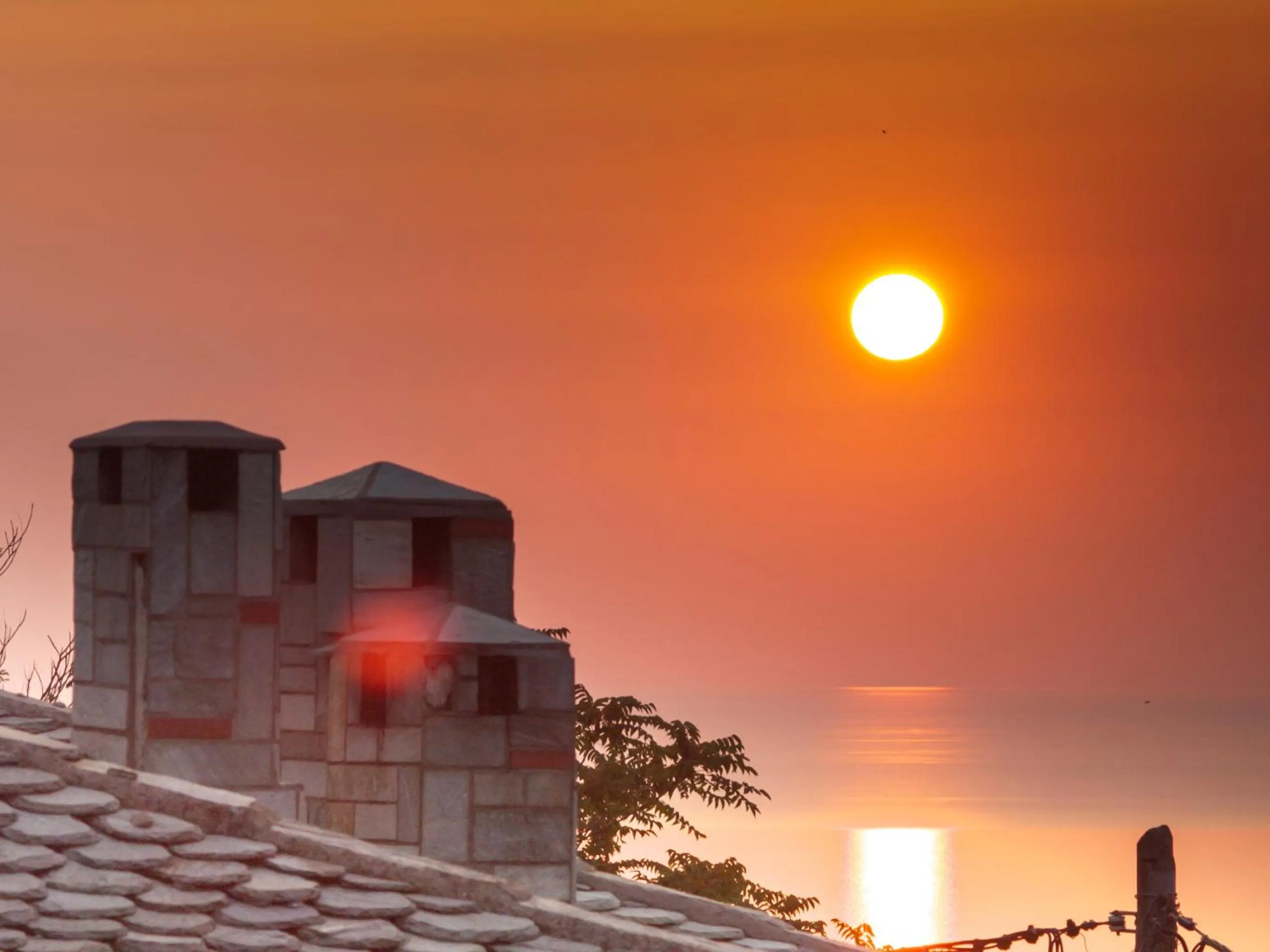 Sea view in Astromeria