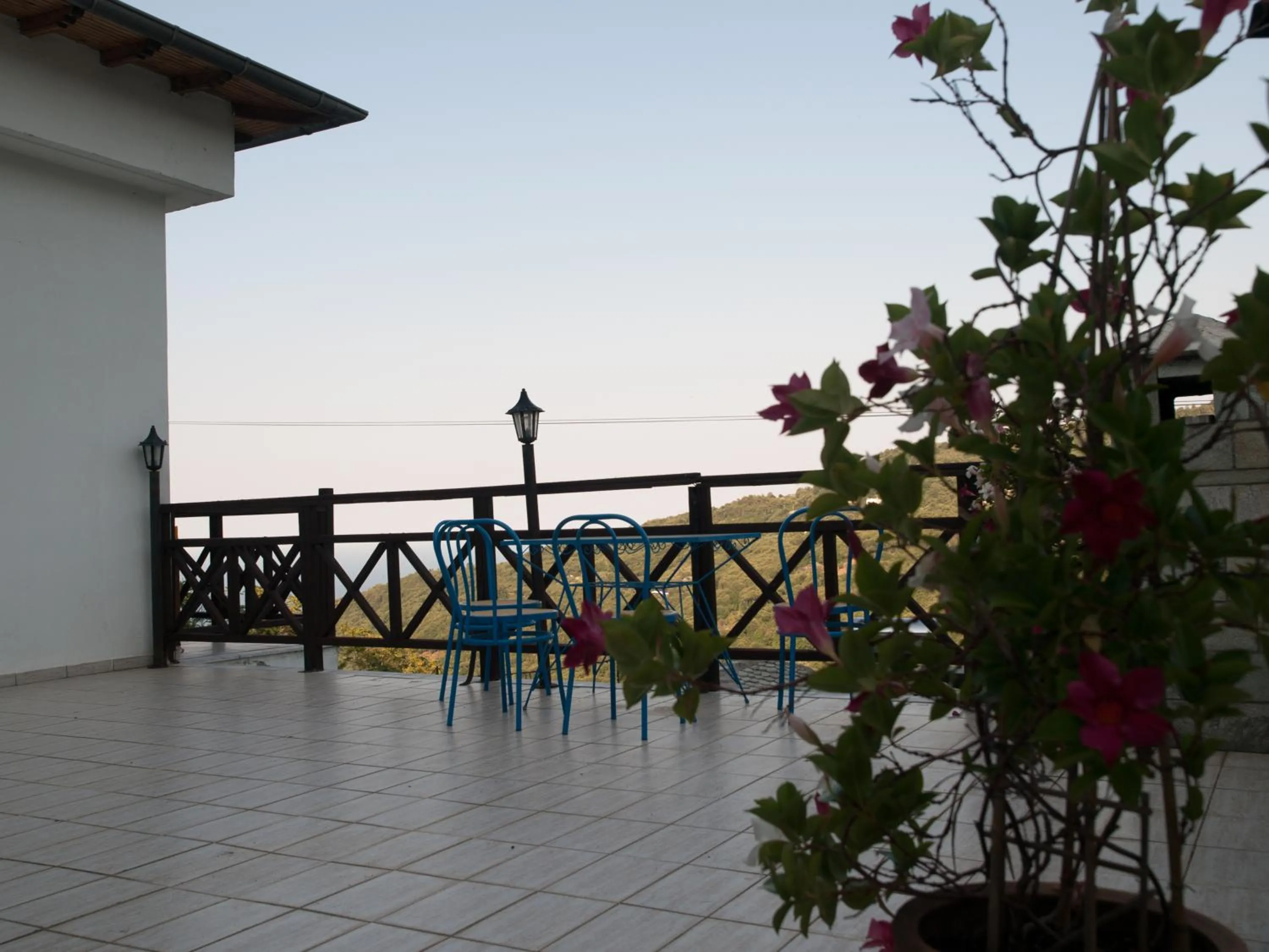 Sea view in Astromeria