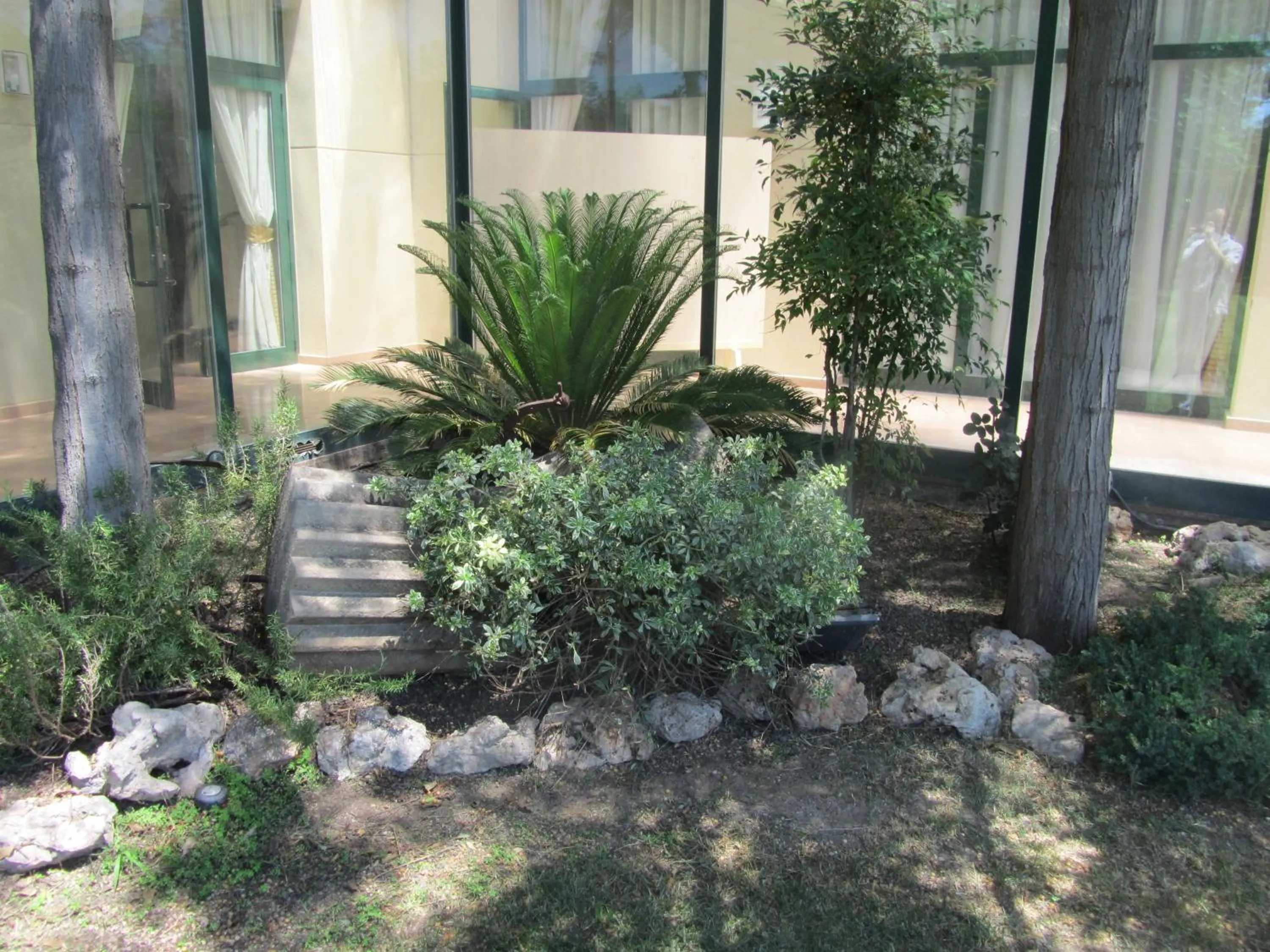 Garden in Sommelier Hostelera SL