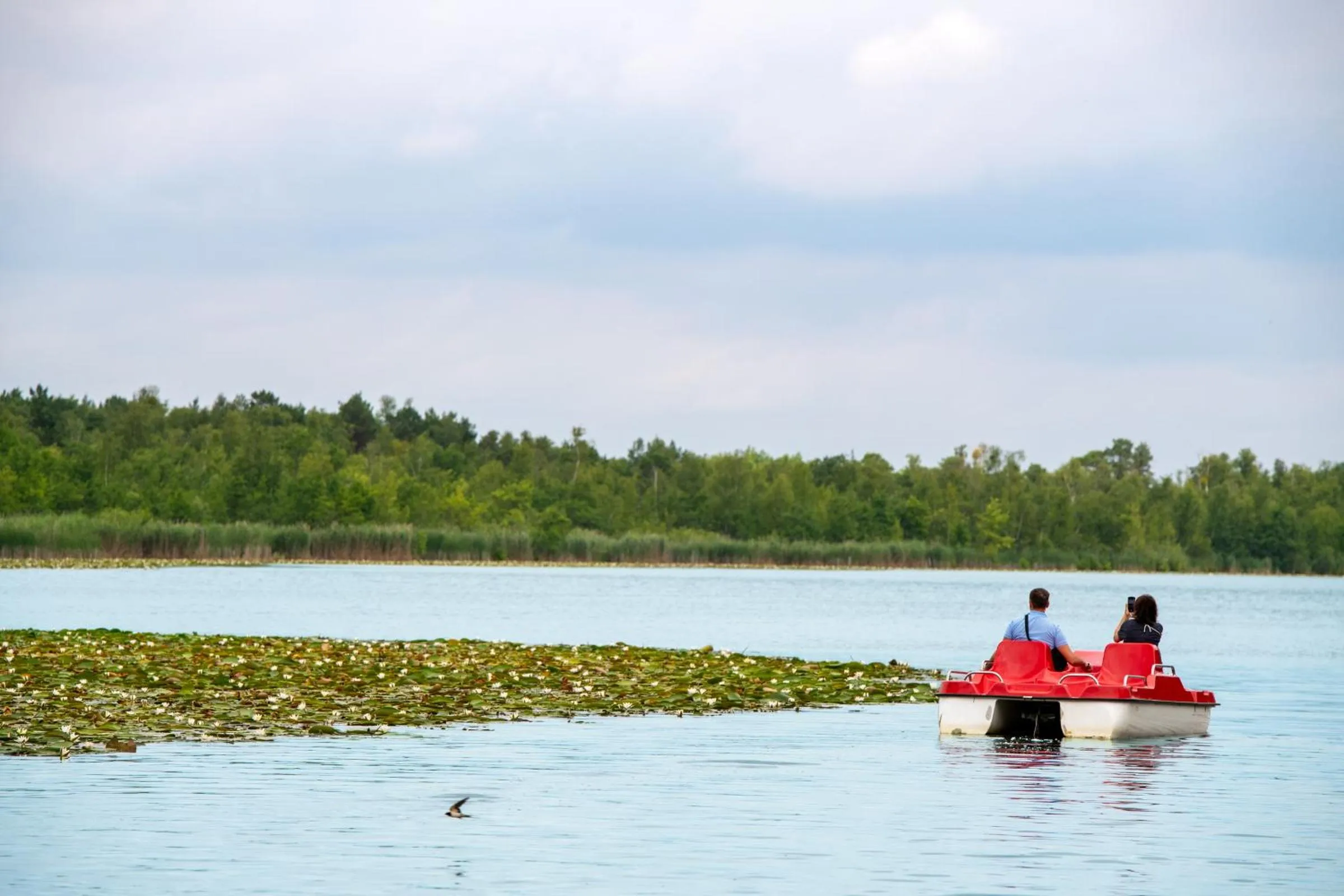 Spring in Aparthotel Seepanorama