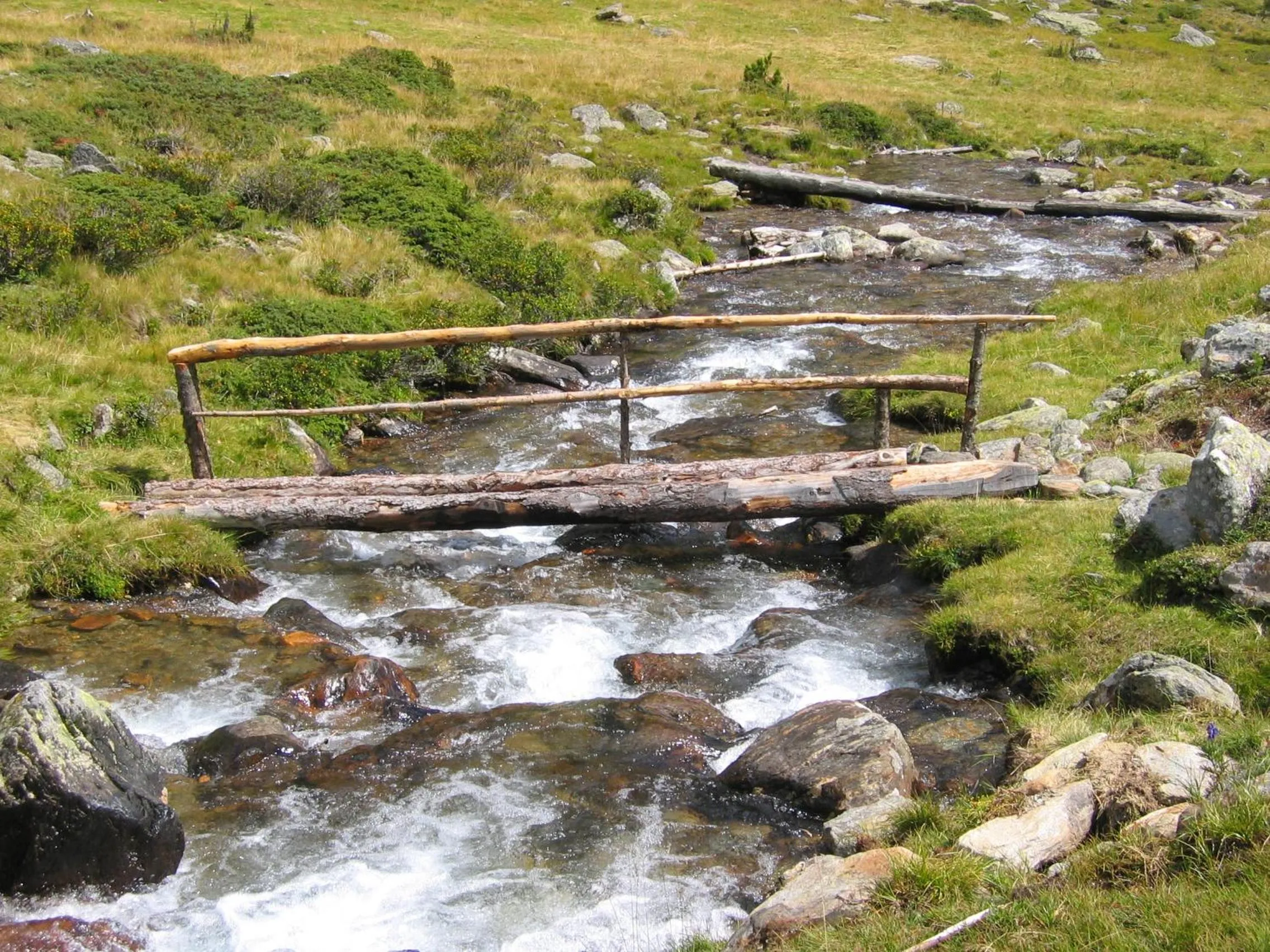 Hiking in Natur Pur Hotel Unterpichl