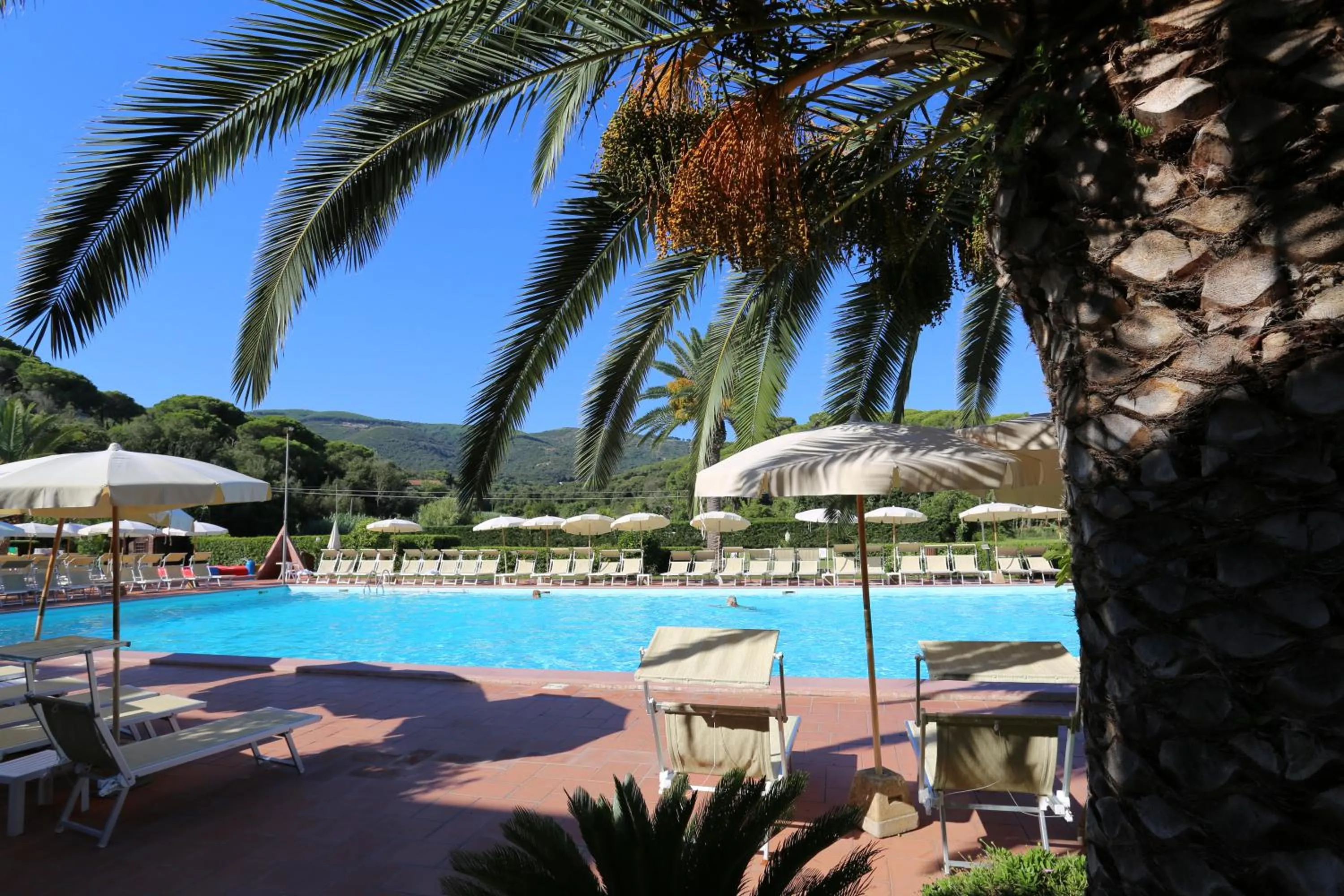 Swimming pool in Residence Le Acacie