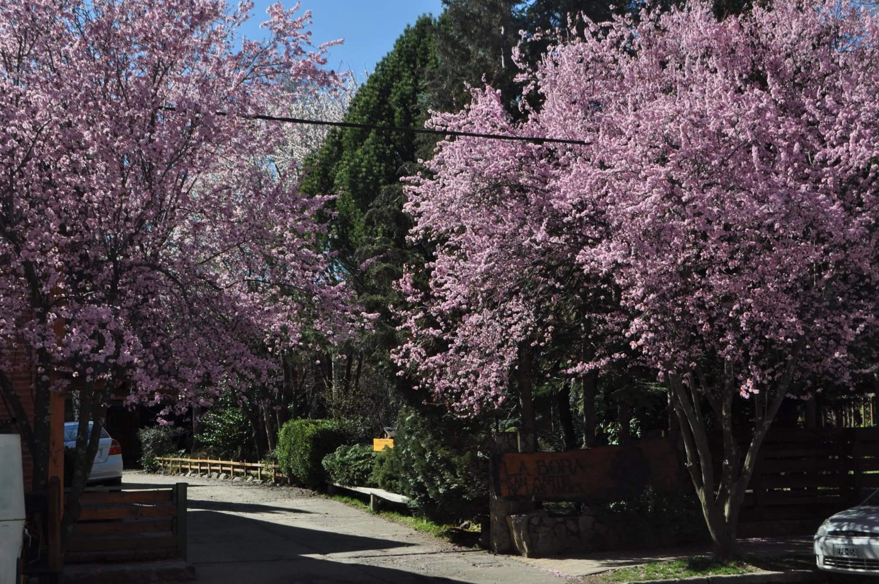 Day in Apart Hotel La Bora