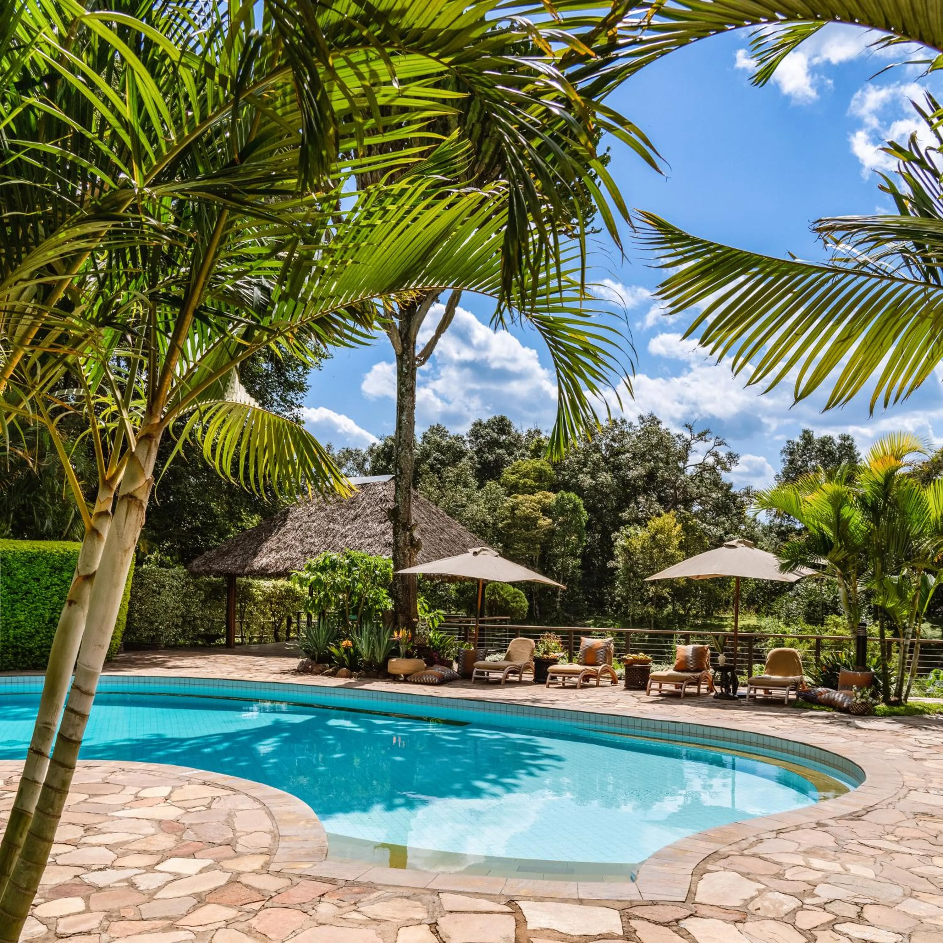 Swimming pool in Fairmont Mara Safari Club