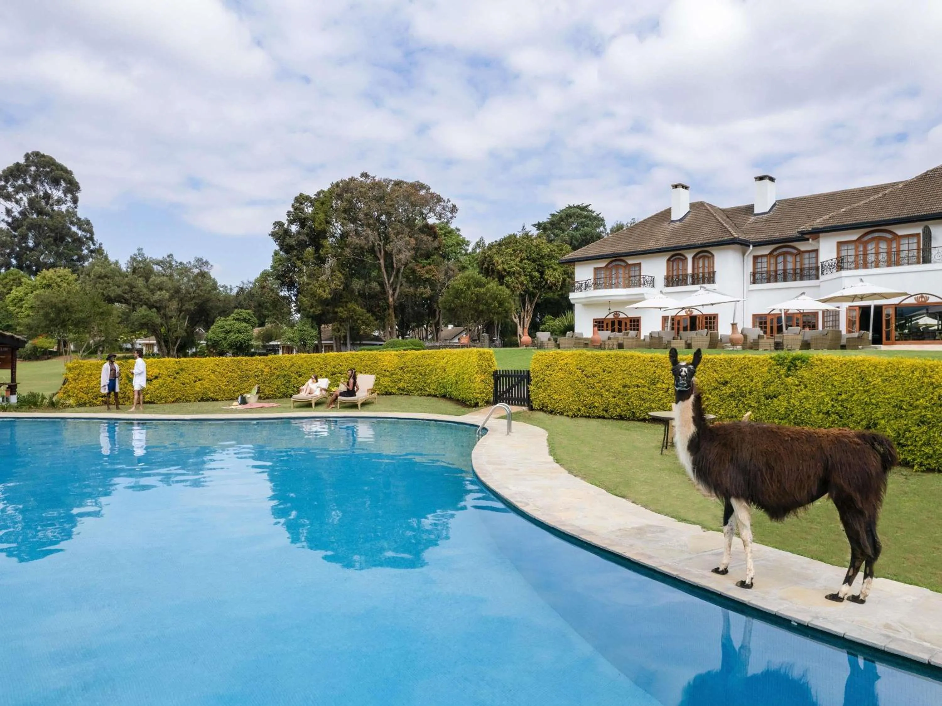 Lounge or bar in Fairmont Mount Kenya Safari Club