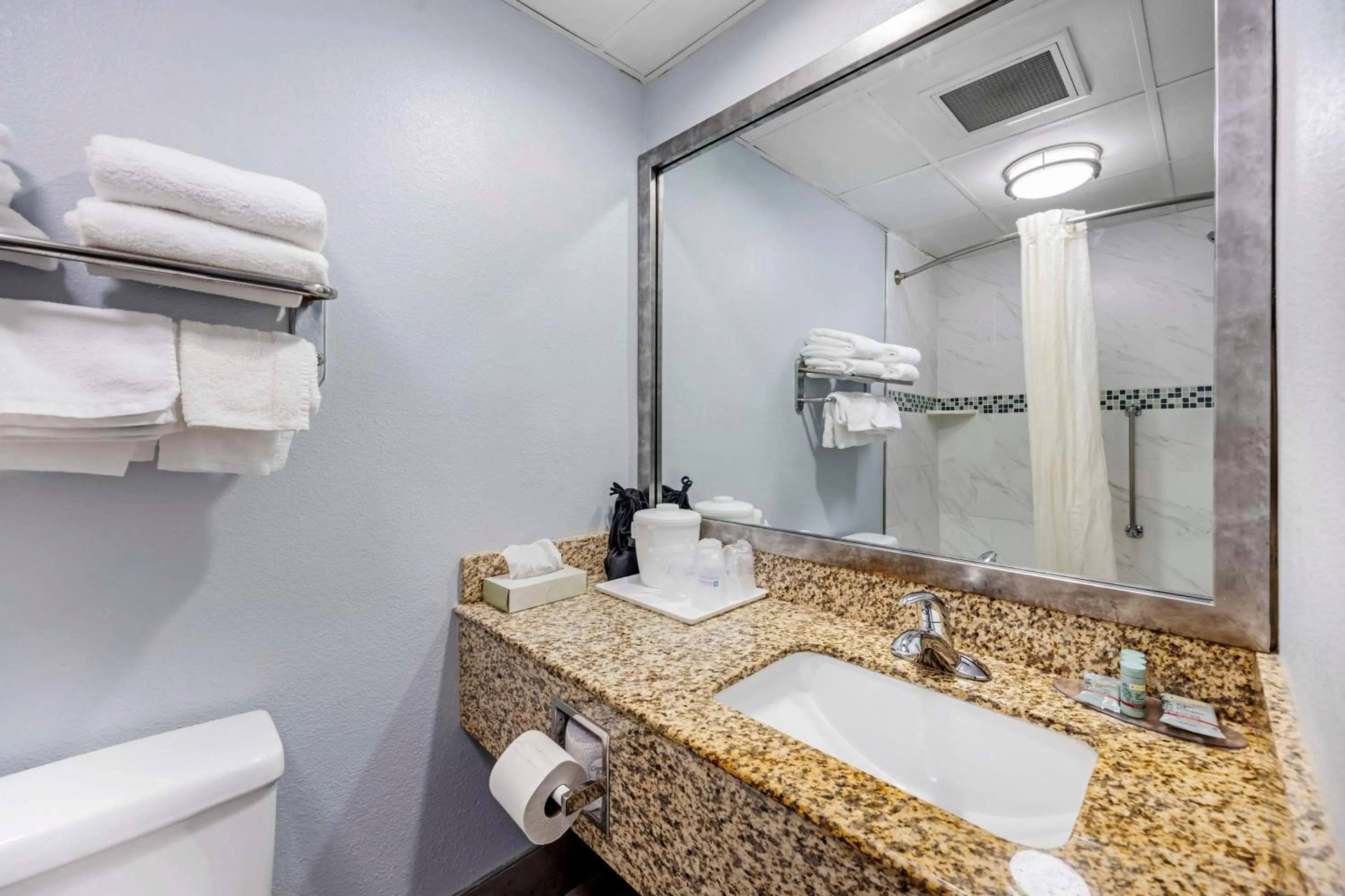 Bathroom in Best Western Thunderbird Motel