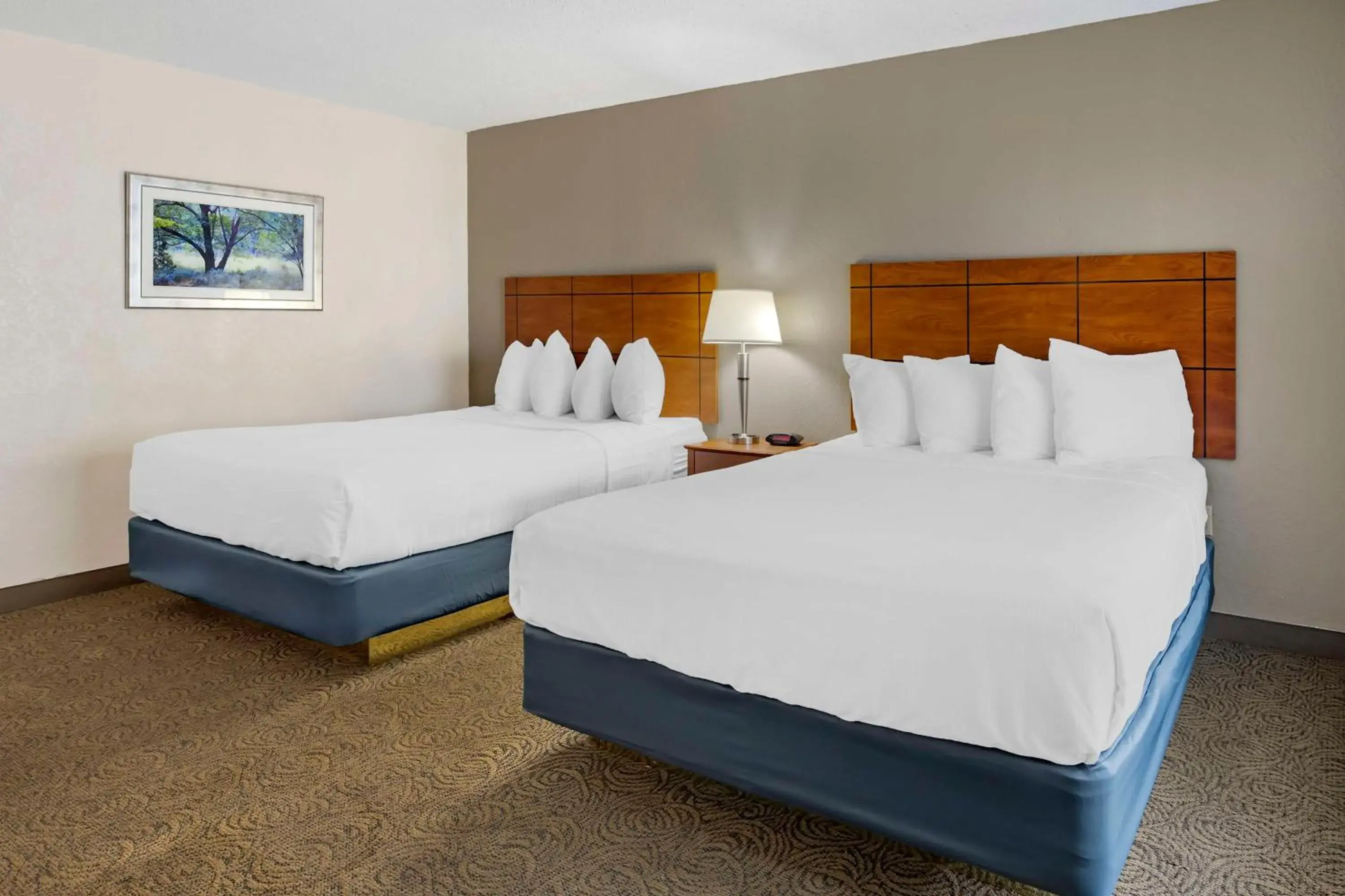 Two Queen Room / Smoking in Best Western Thunderbird Motel Two Queen Room / Smoking in Best Western Thunderbird Motel