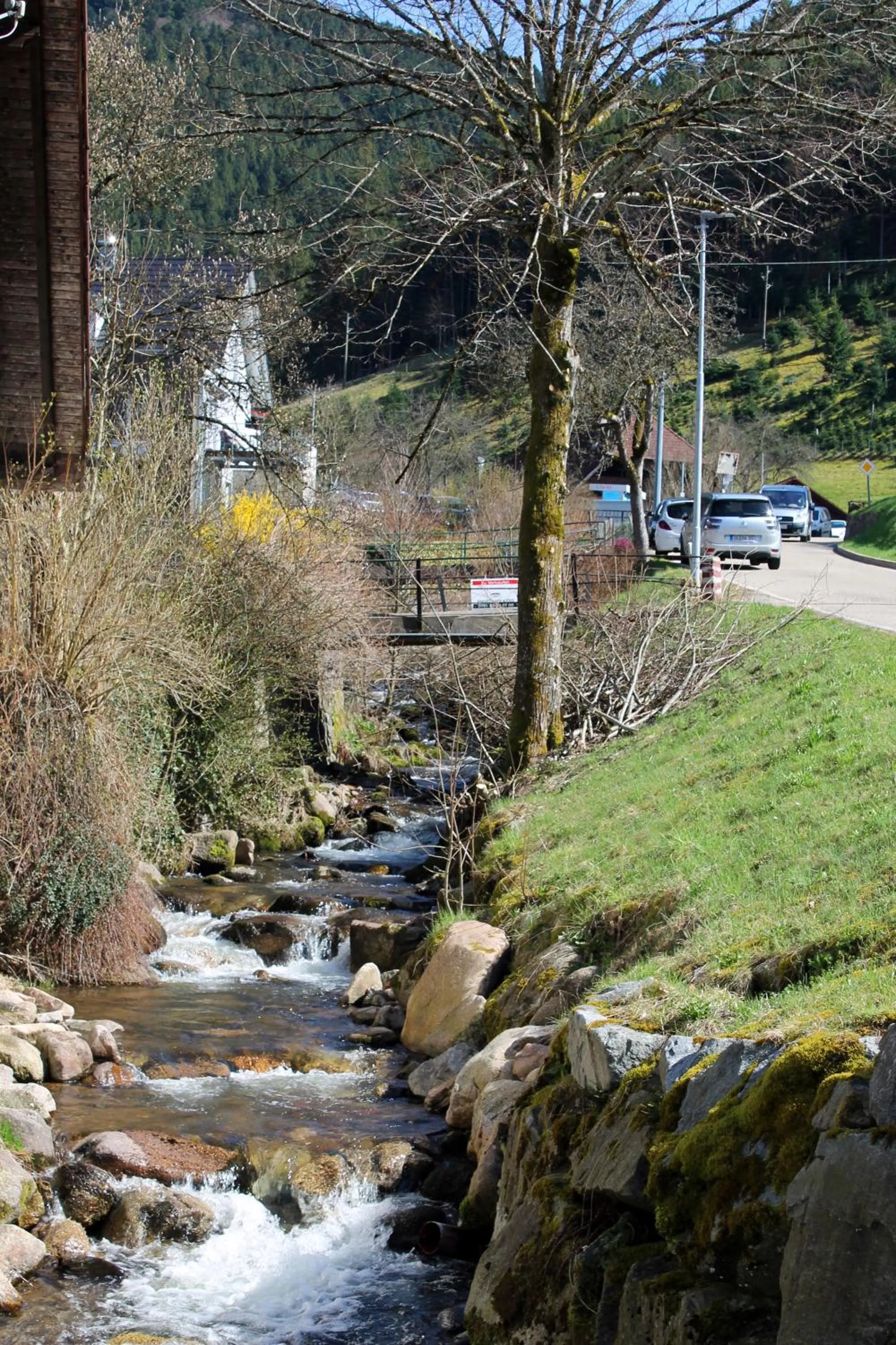 Garden in Hotel Sonne