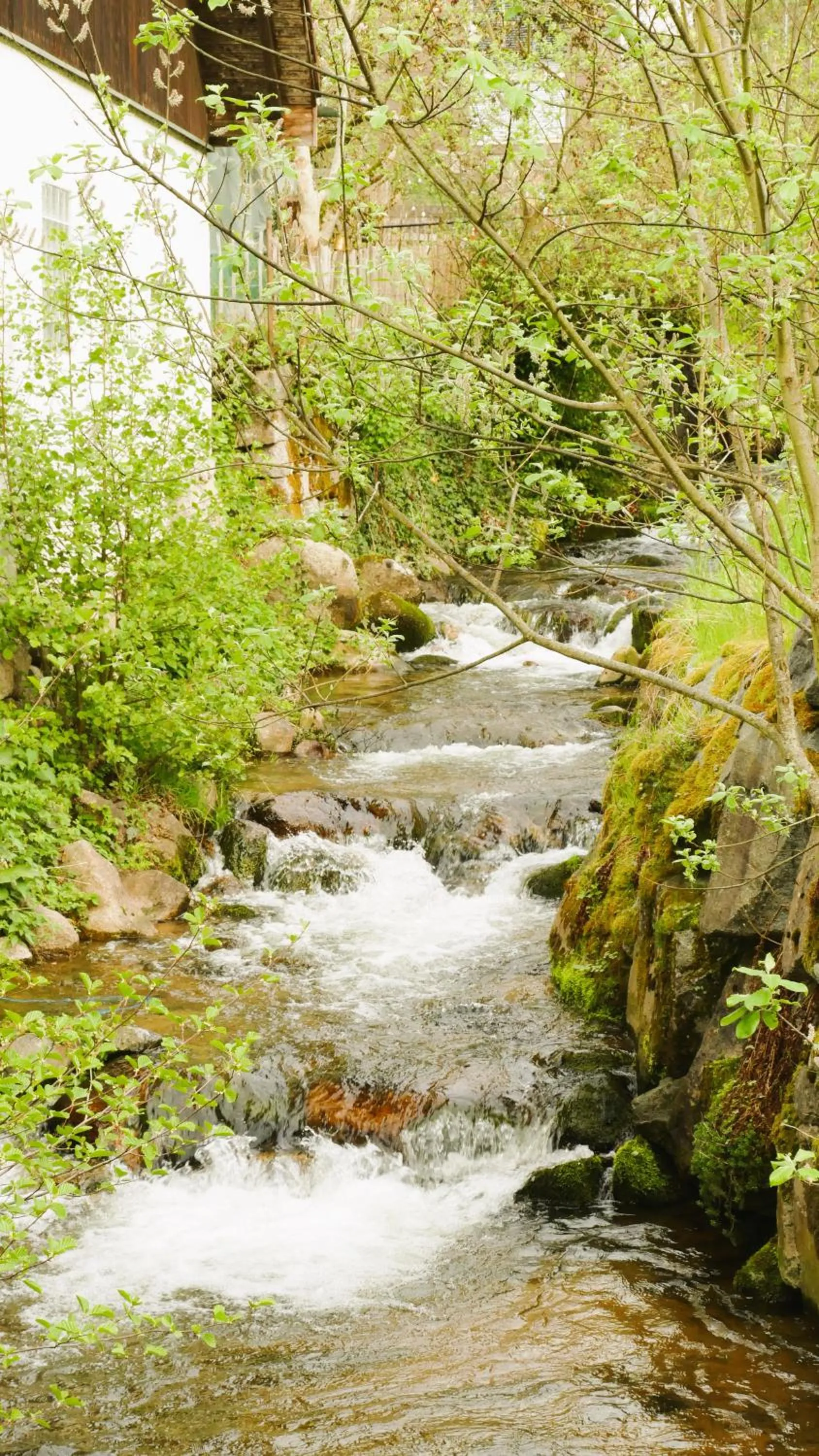 Garden in Hotel Sonne