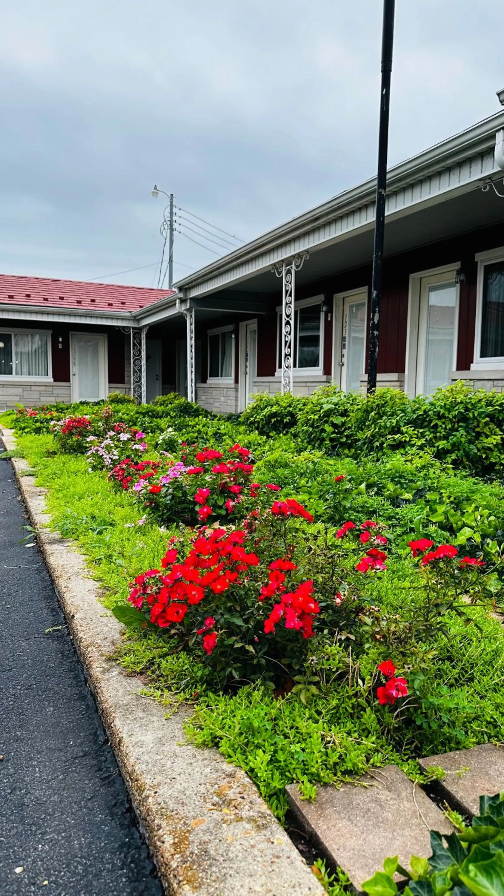 Garden view in Murray Inn and Art Gallery