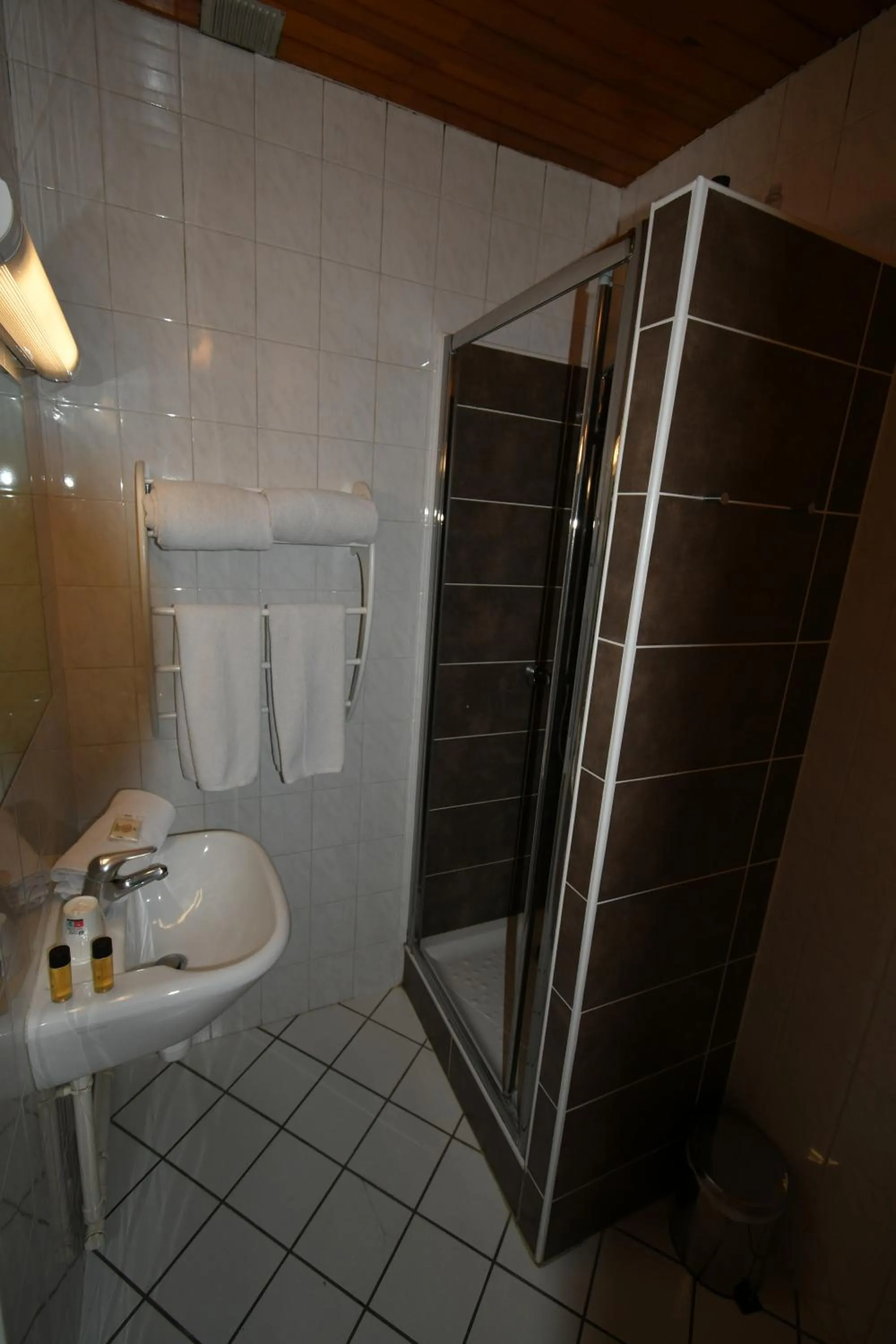 Bathroom in Hôtel Edelweiss