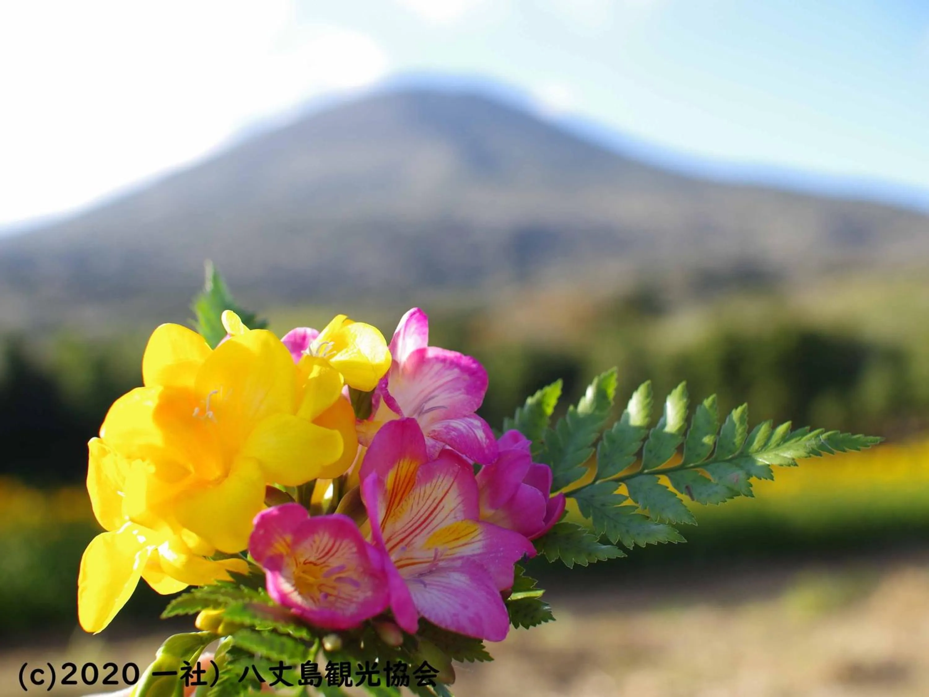 Nearby landmark in Kokumin Shukusha Sun Marina