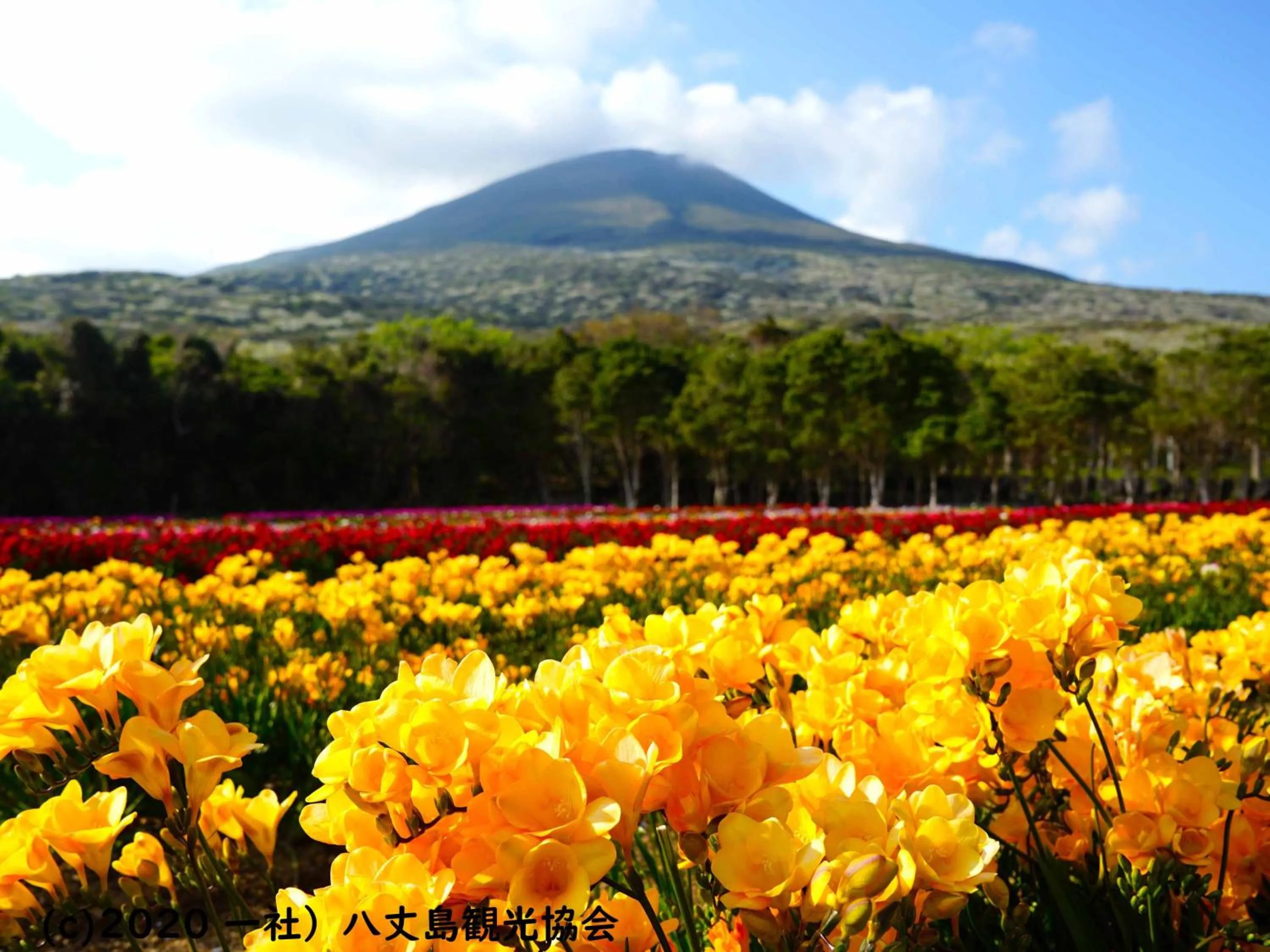 Nearby landmark in Kokumin Shukusha Sun Marina