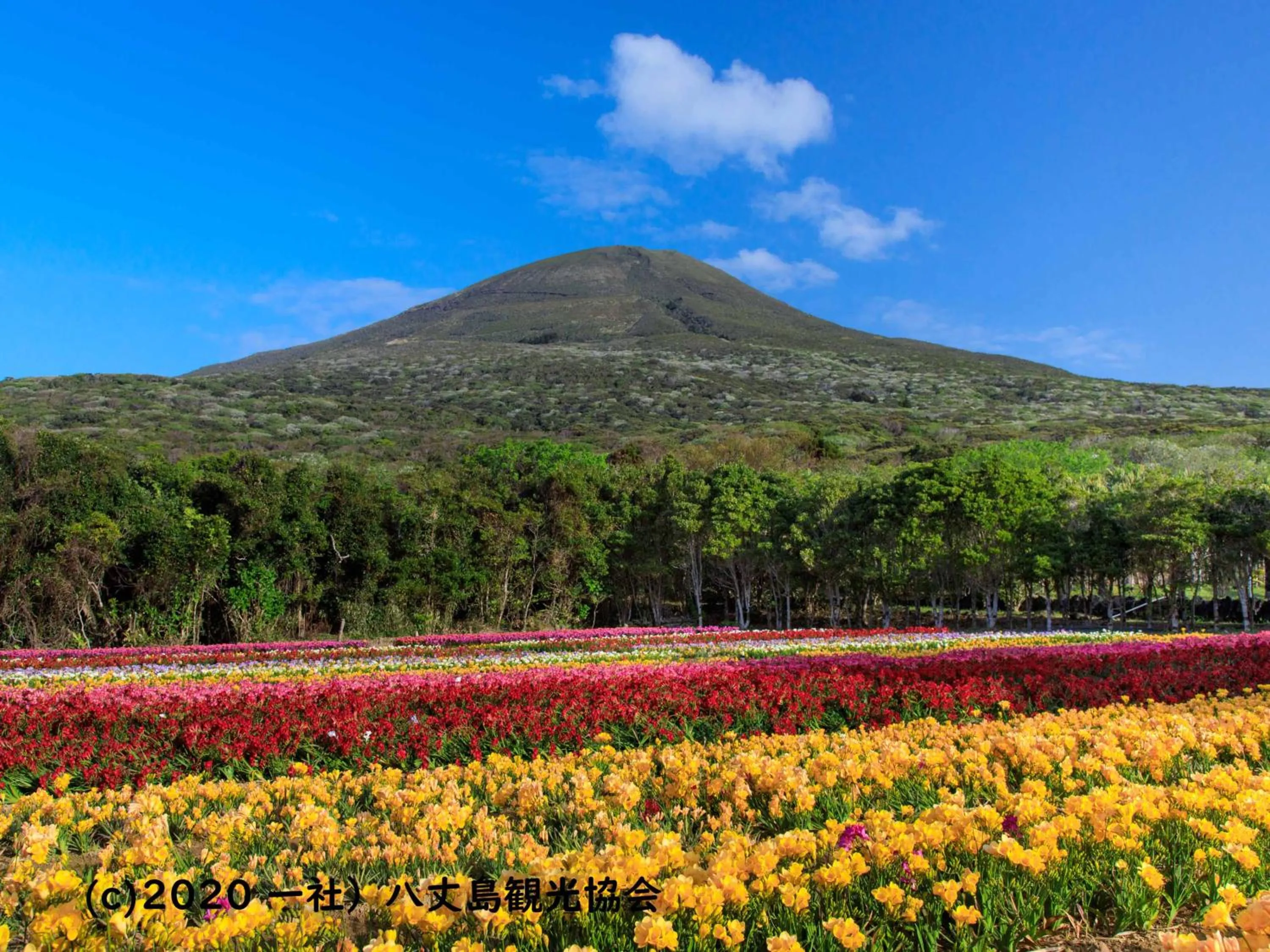 Nearby landmark in Kokumin Shukusha Sun Marina