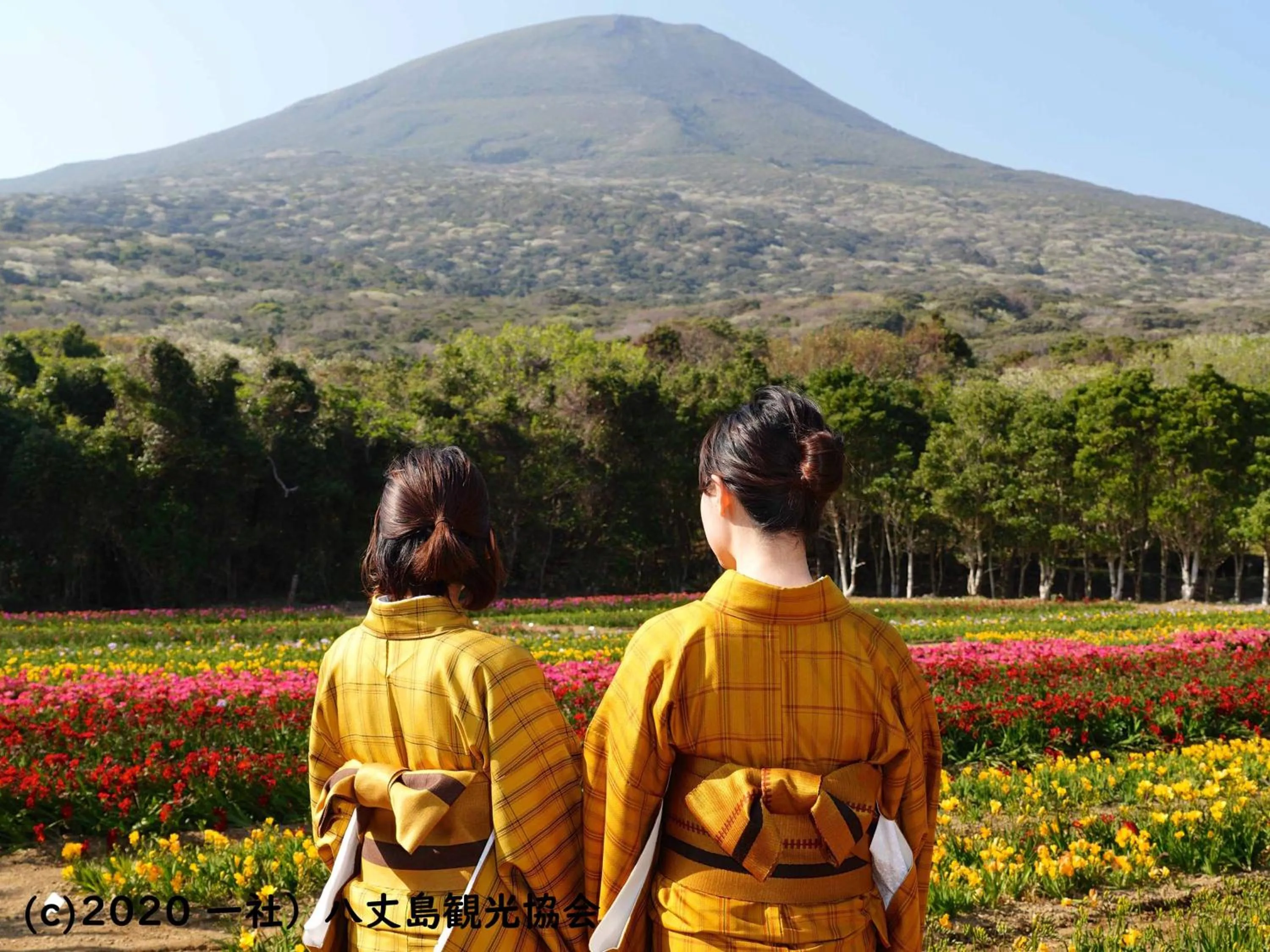 Nearby landmark in Kokumin Shukusha Sun Marina