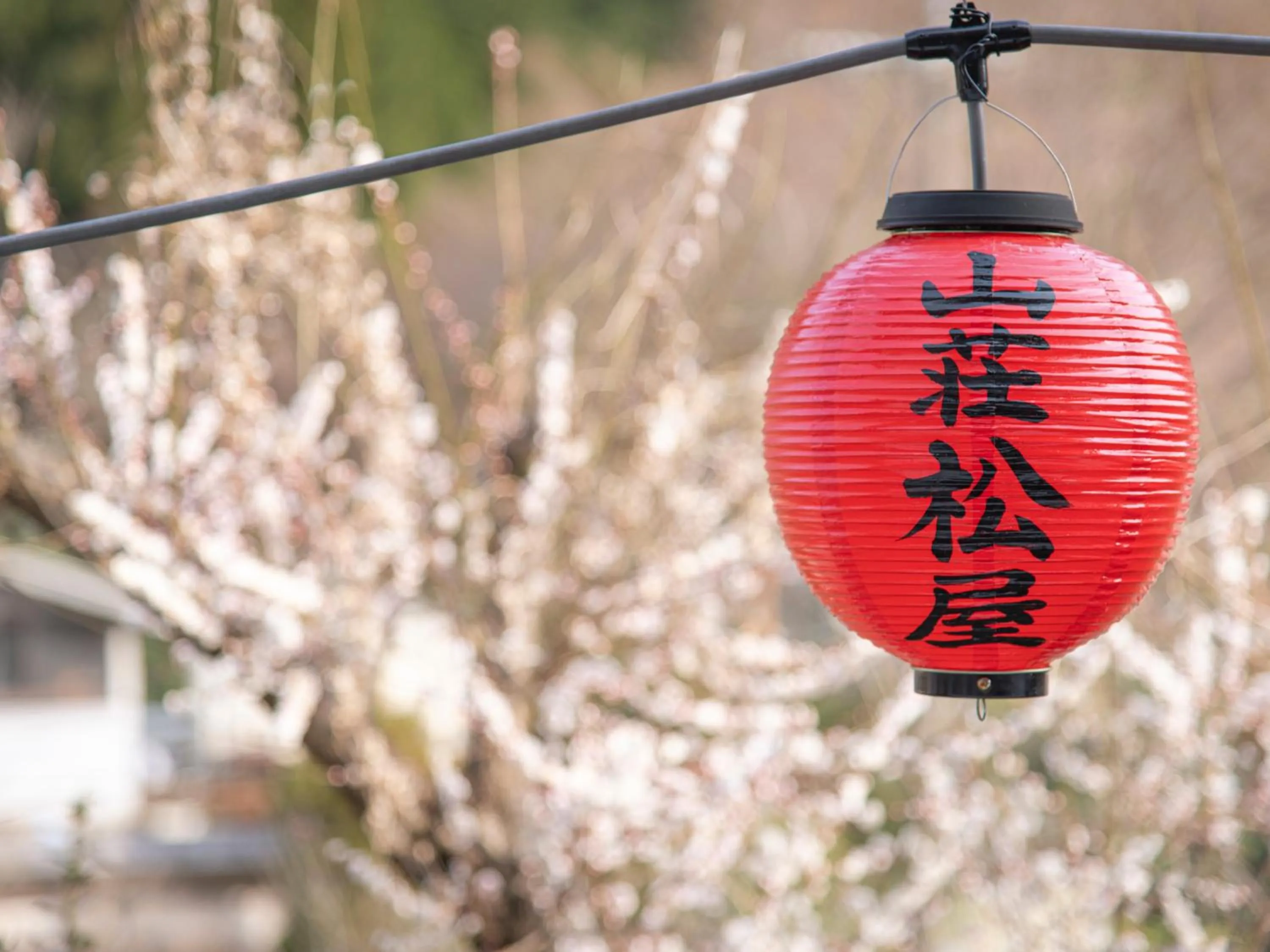 Property building in Sanso Matsuya