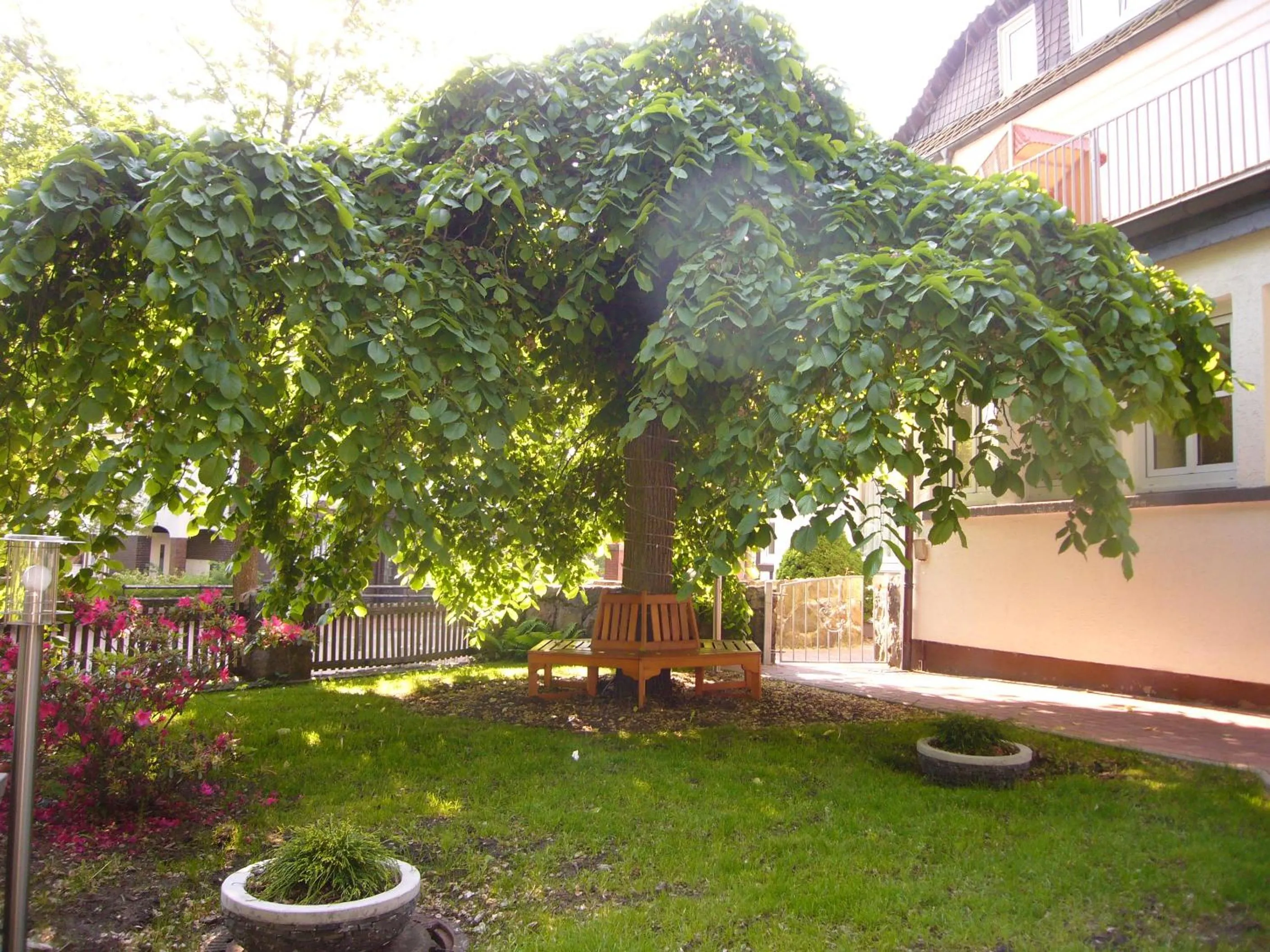 Garden in Hotel Stadt Munster