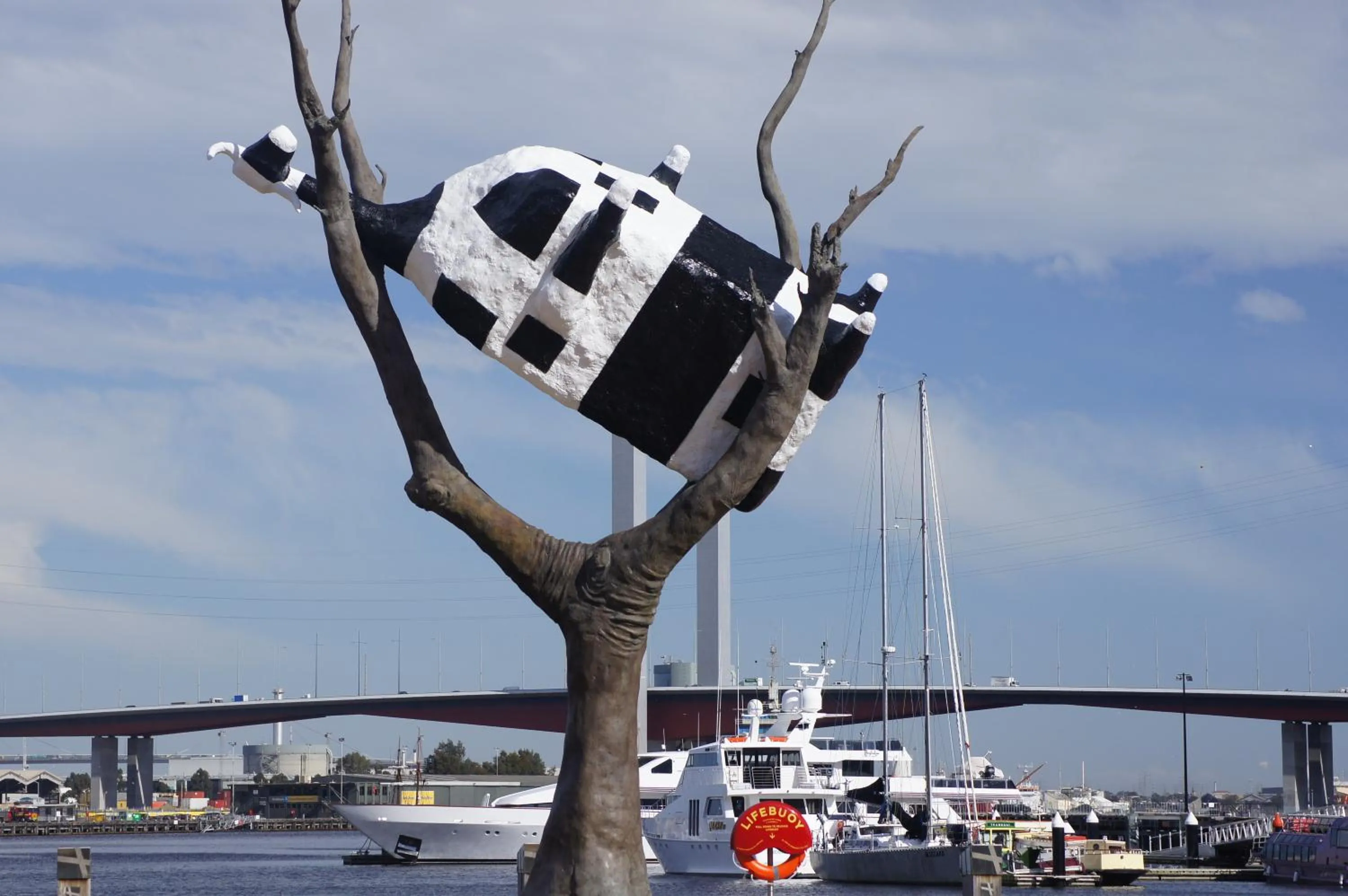 Area and facilities in Docklands Private Collection - City Harbour Apartments