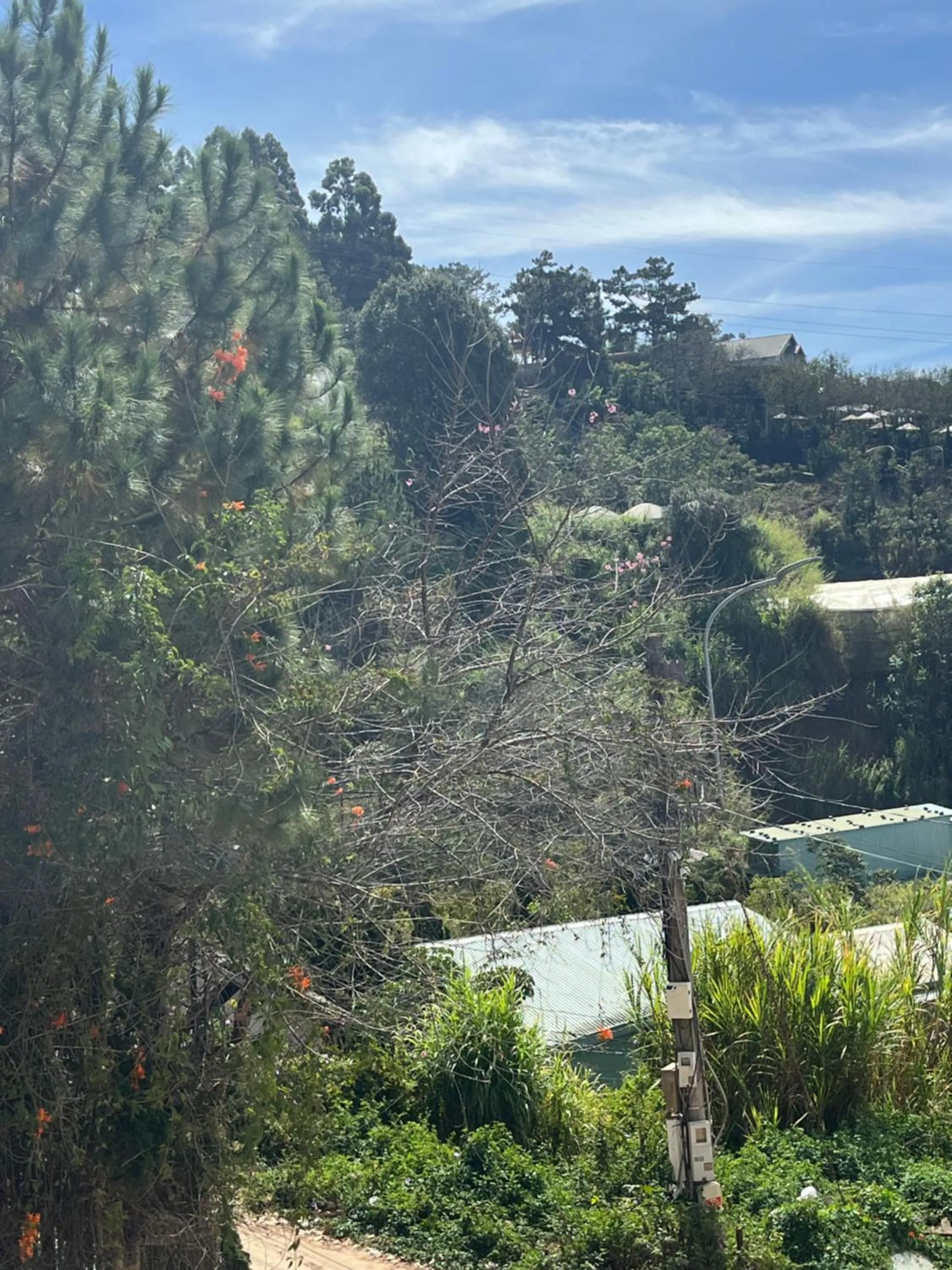 Natural landscape in Amia Dalat