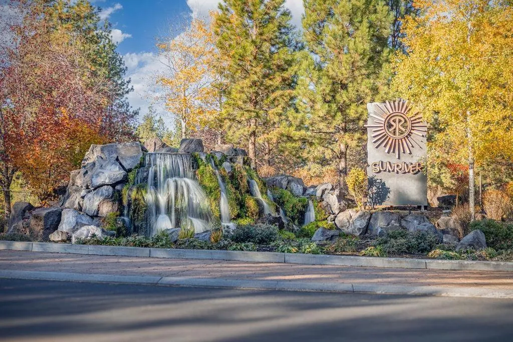 Pine Needle - Unit 7