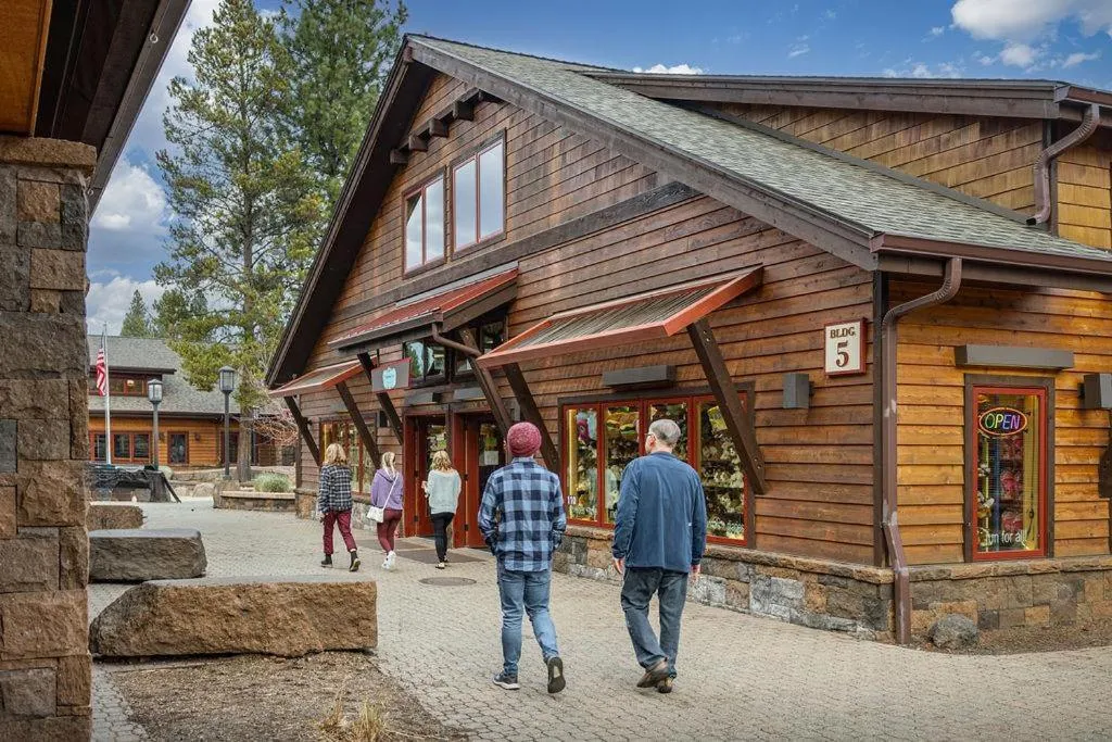 Pine Needle - Unit 7