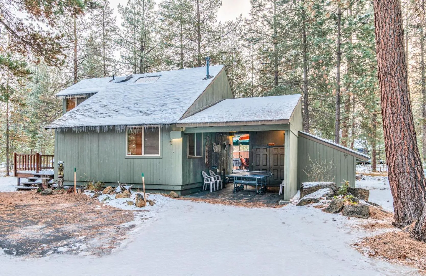 Pine Needle - Unit 7