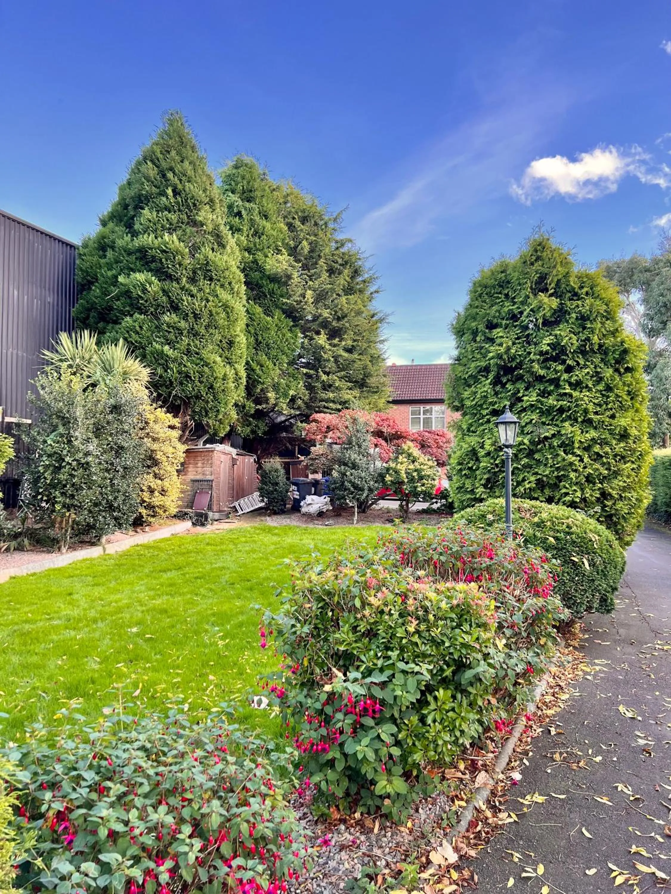 Natural landscape in Ashfield Bed & Breakfast