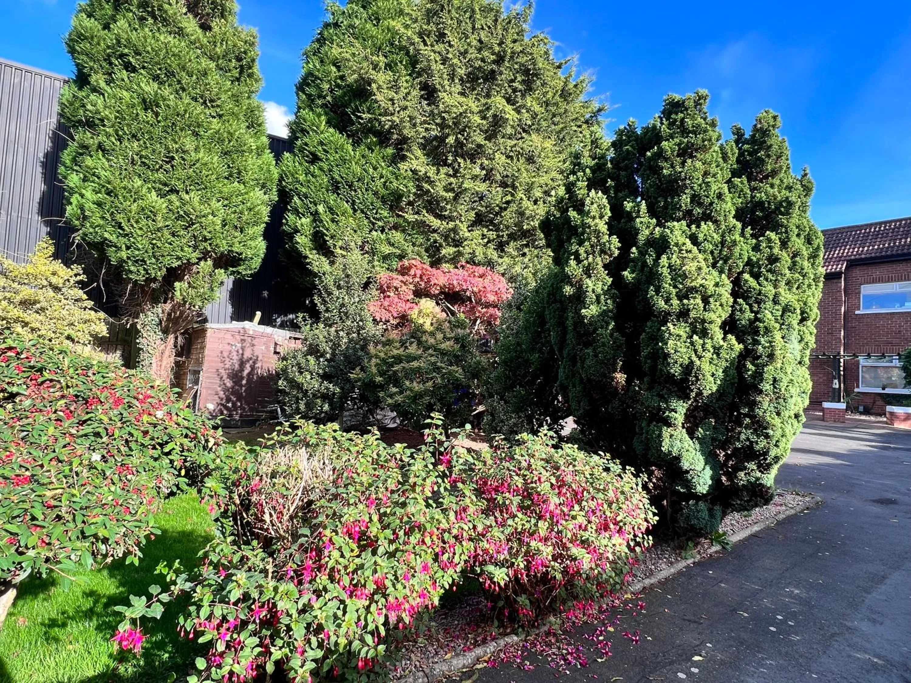 Ashfield Bed & Breakfast