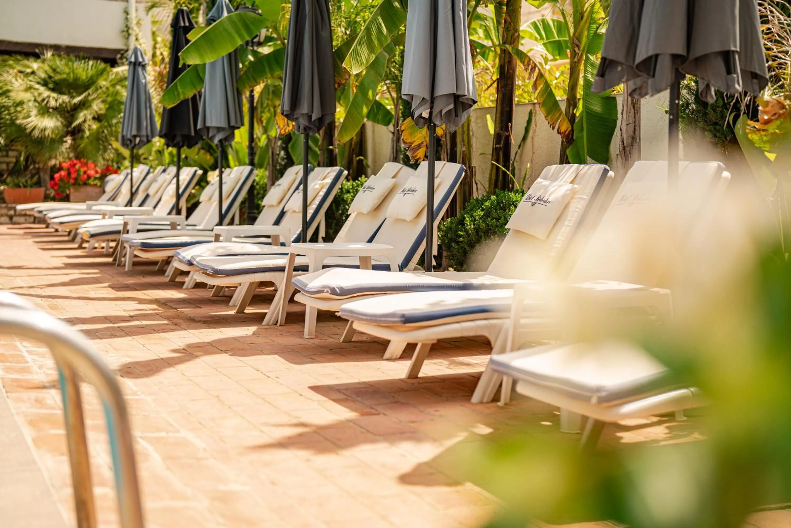 Garden view in Vila Belvedere