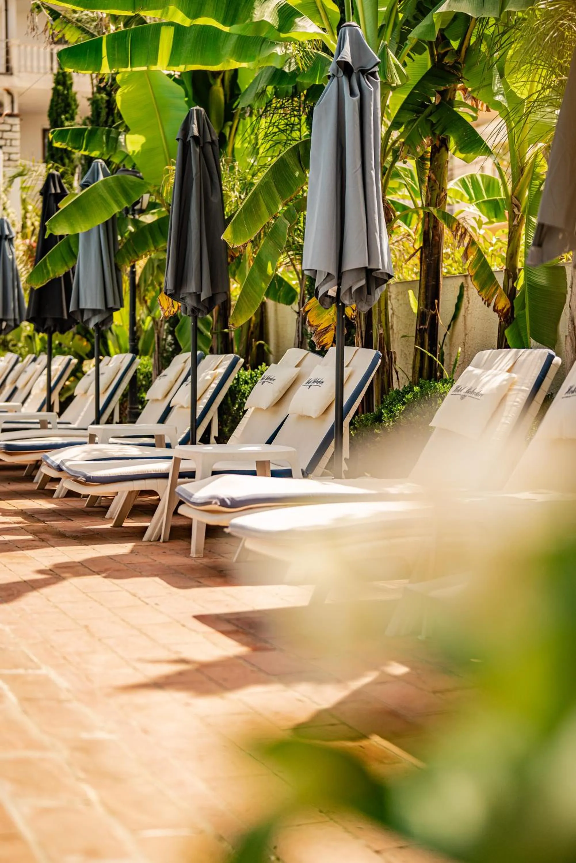 Pool view in Vila Belvedere