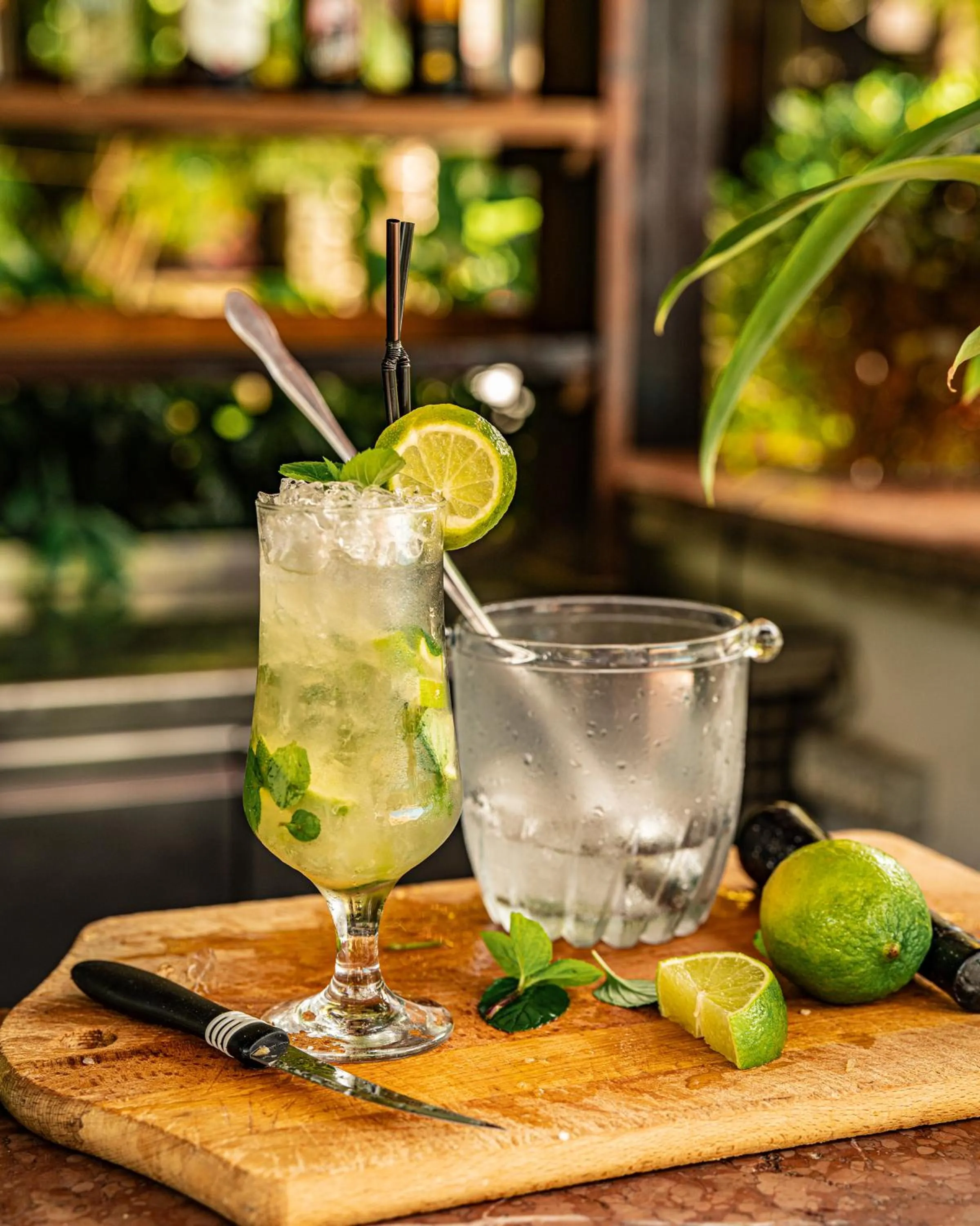 Lounge or bar in Vila Belvedere