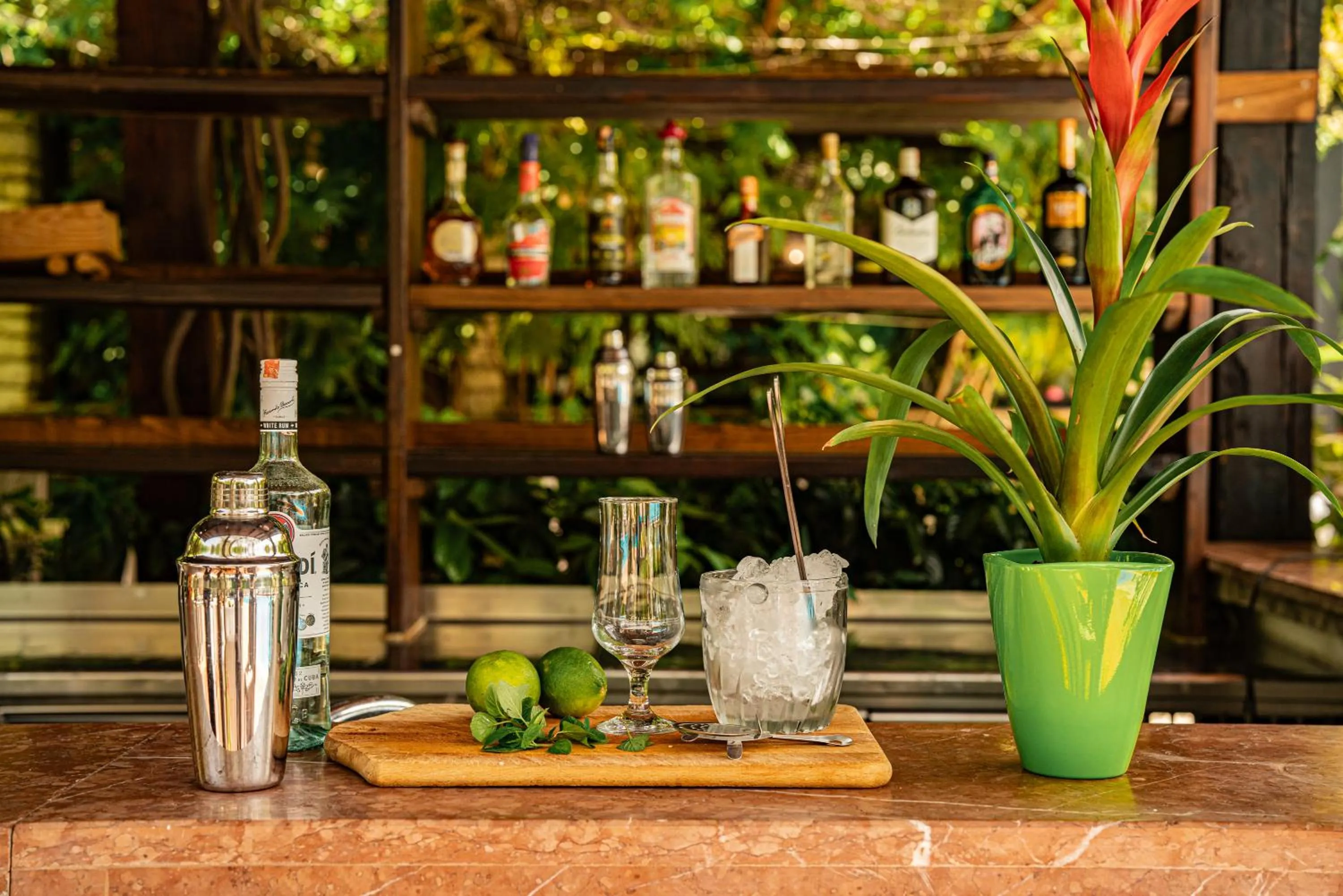 Food and drinks in Vila Belvedere