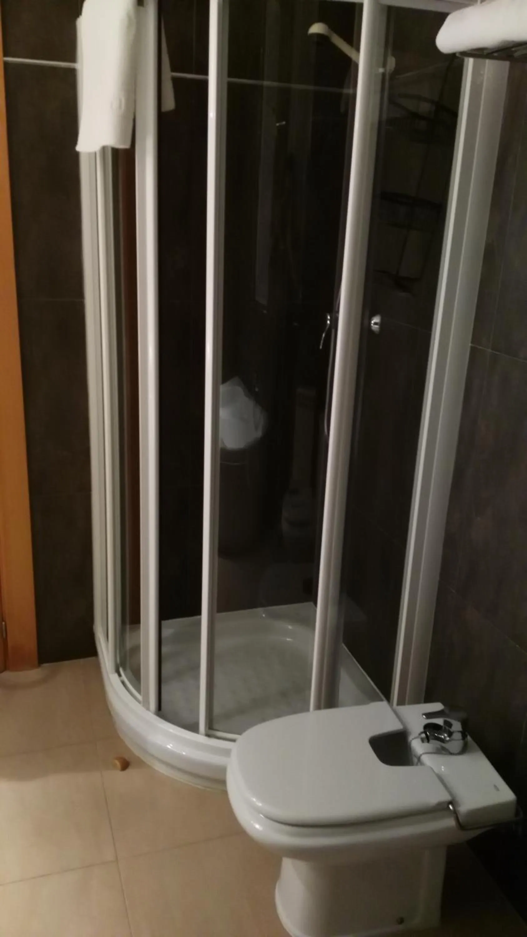 Shower in Hotel Alfageme