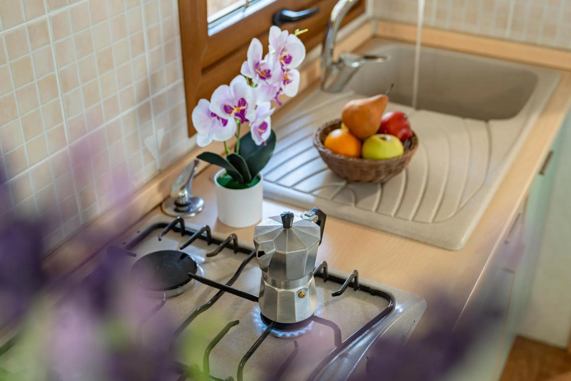 Kitchen or kitchenette in Club del Sole Rivaverde Easy Camping Village