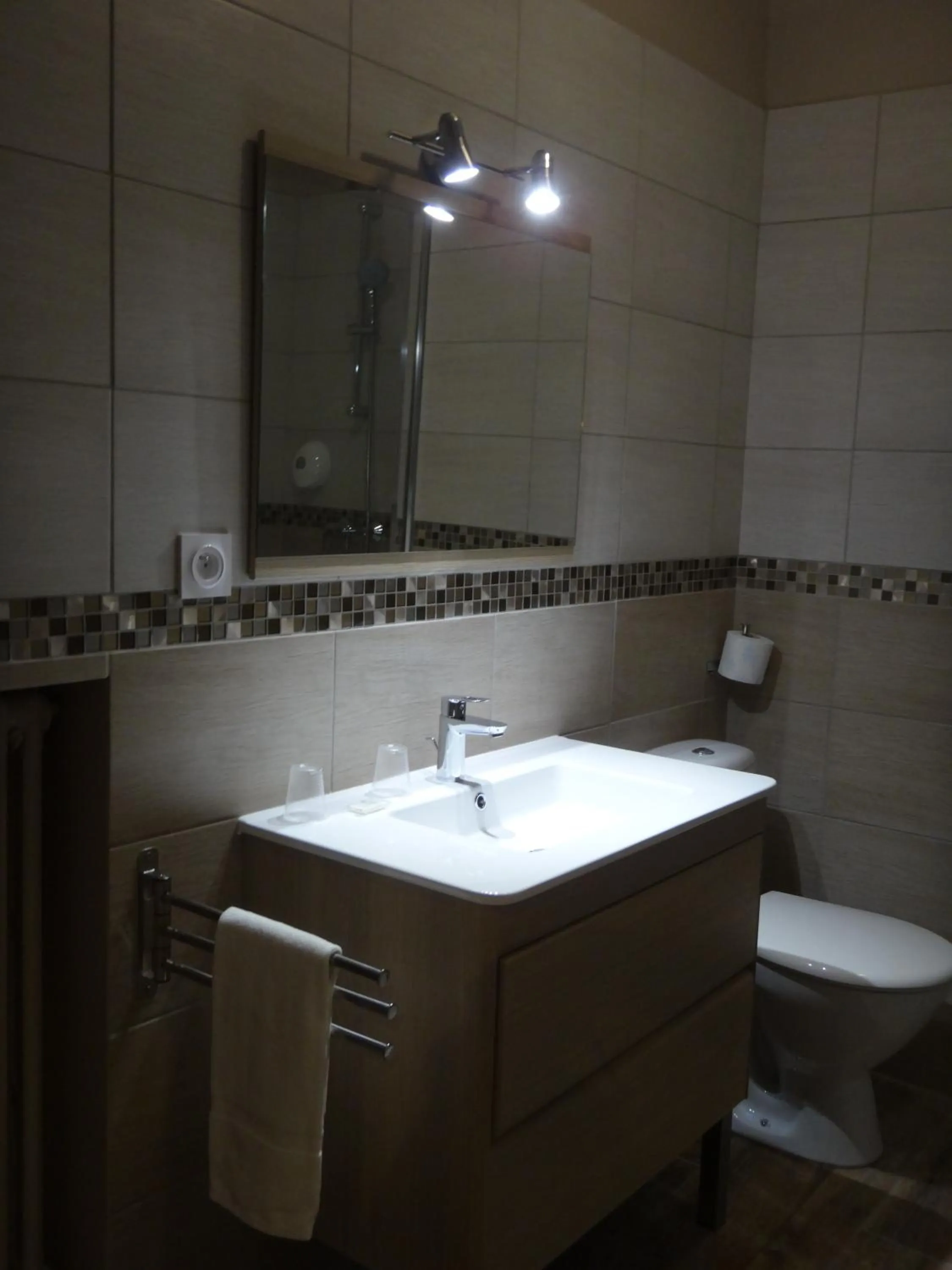 Toilet in Hotel du Centre - Restaurant le P'tit Gourmet